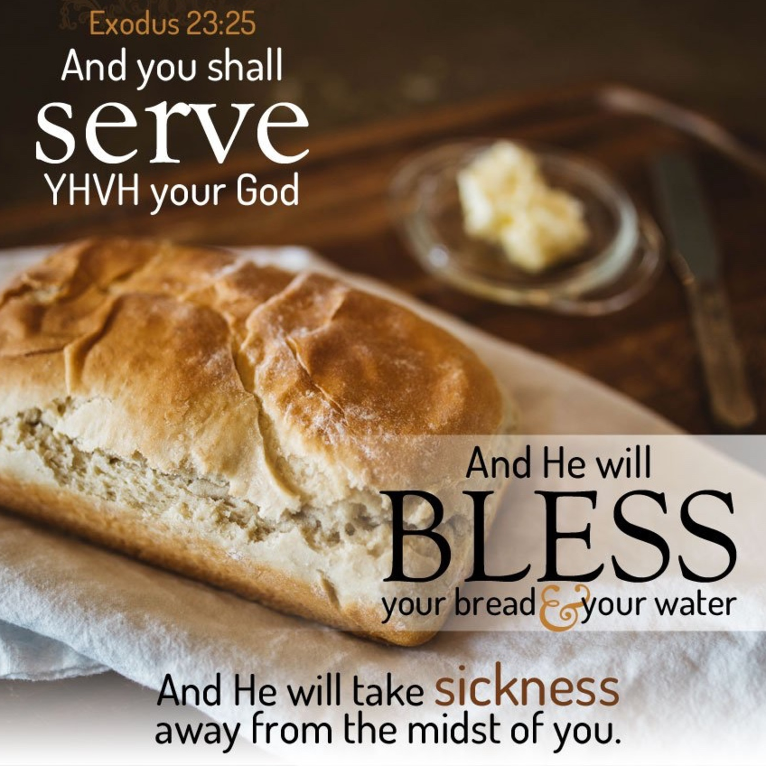 the 8lu8ok - hosted by ur8oy8lu