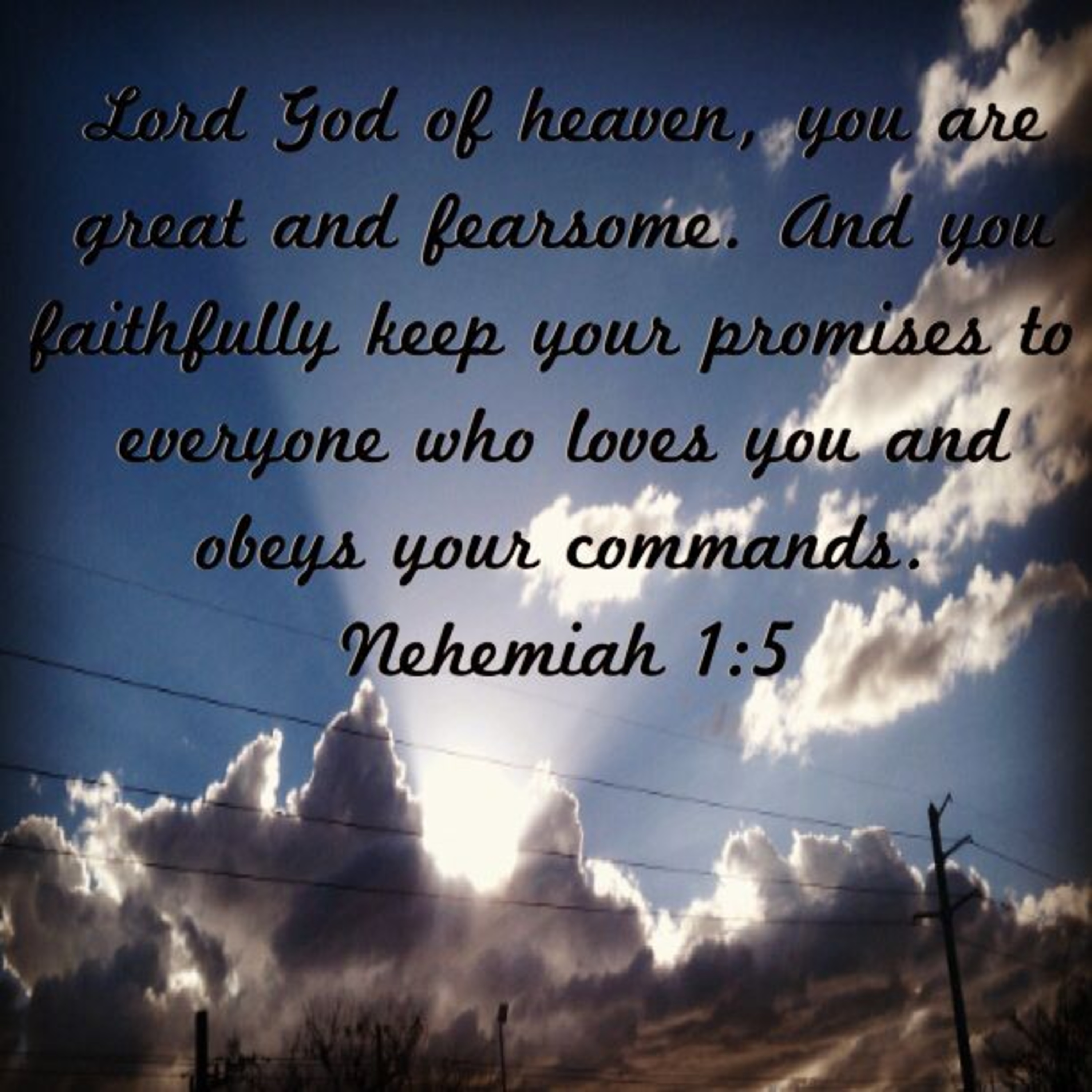 the 8lu8ok - hosted by ur8oy8lu