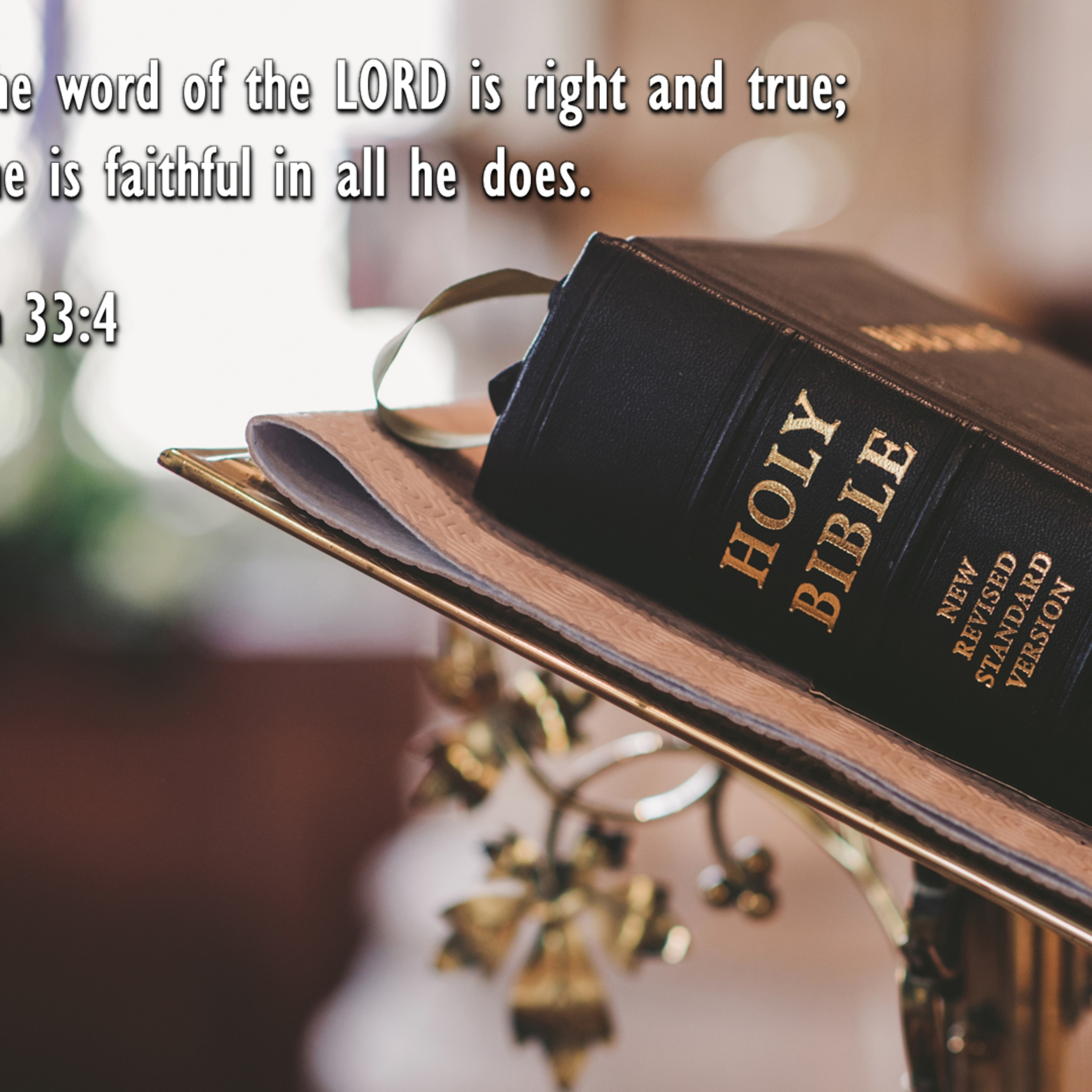 the 8lu8ok - hosted by ur8oy8lu