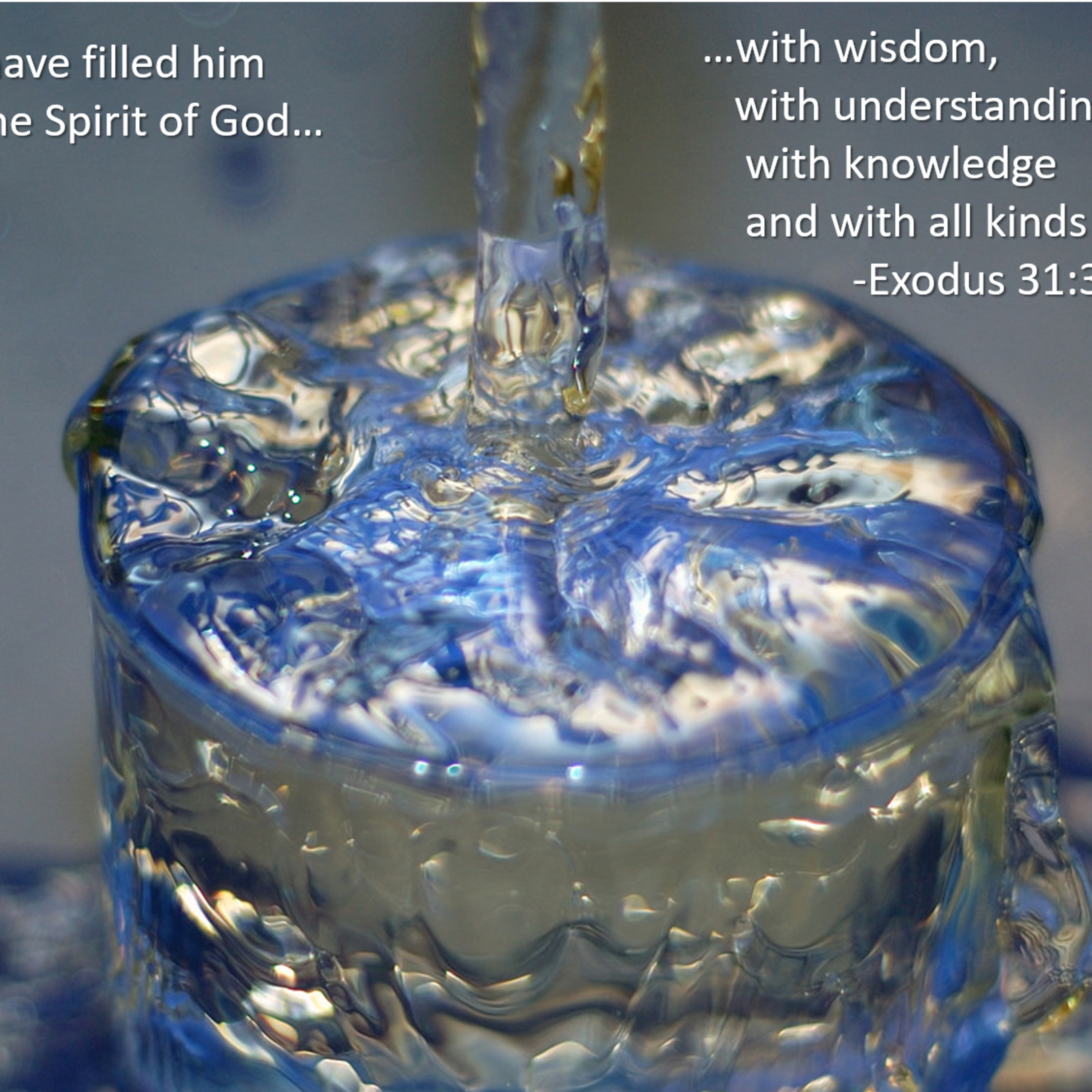 the 8lu8ok - hosted by ur8oy8lu