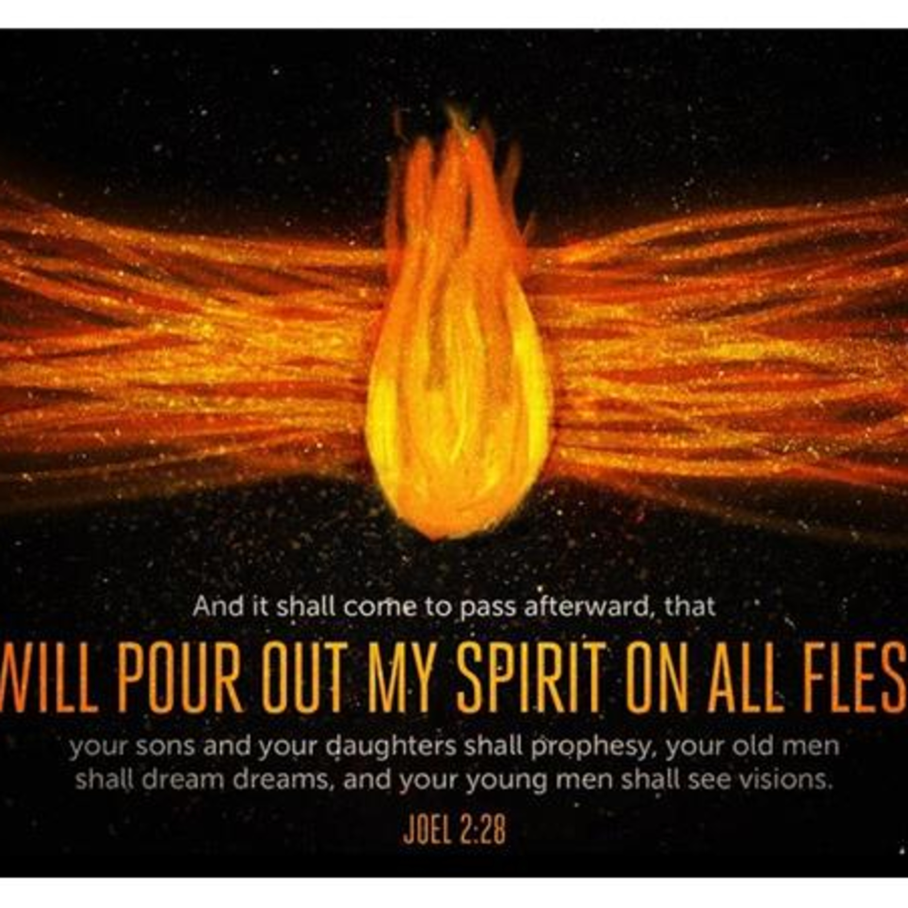 the 8lu8ok - hosted by ur8oy8lu