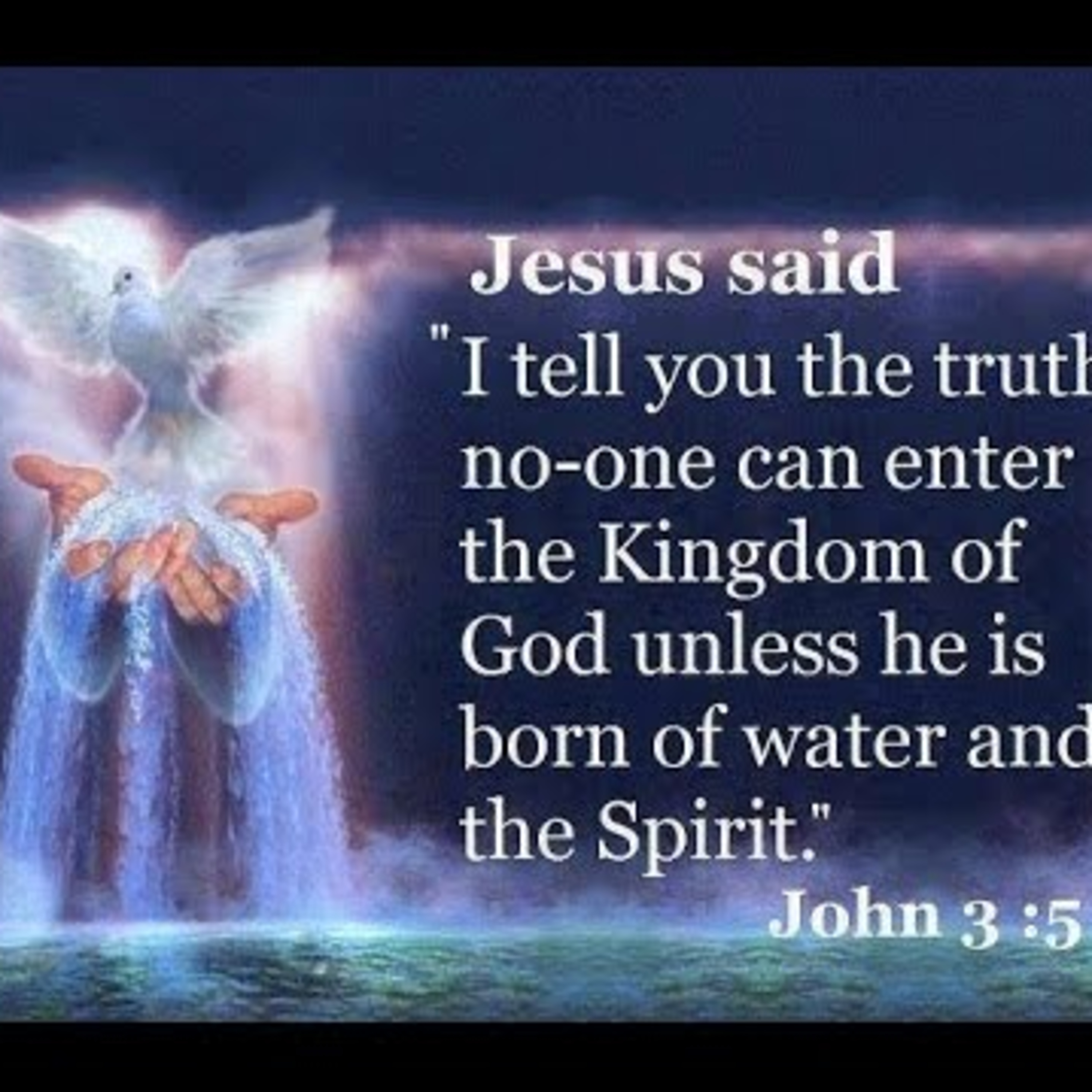 the 8lu8ok - hosted by ur8oy8lu