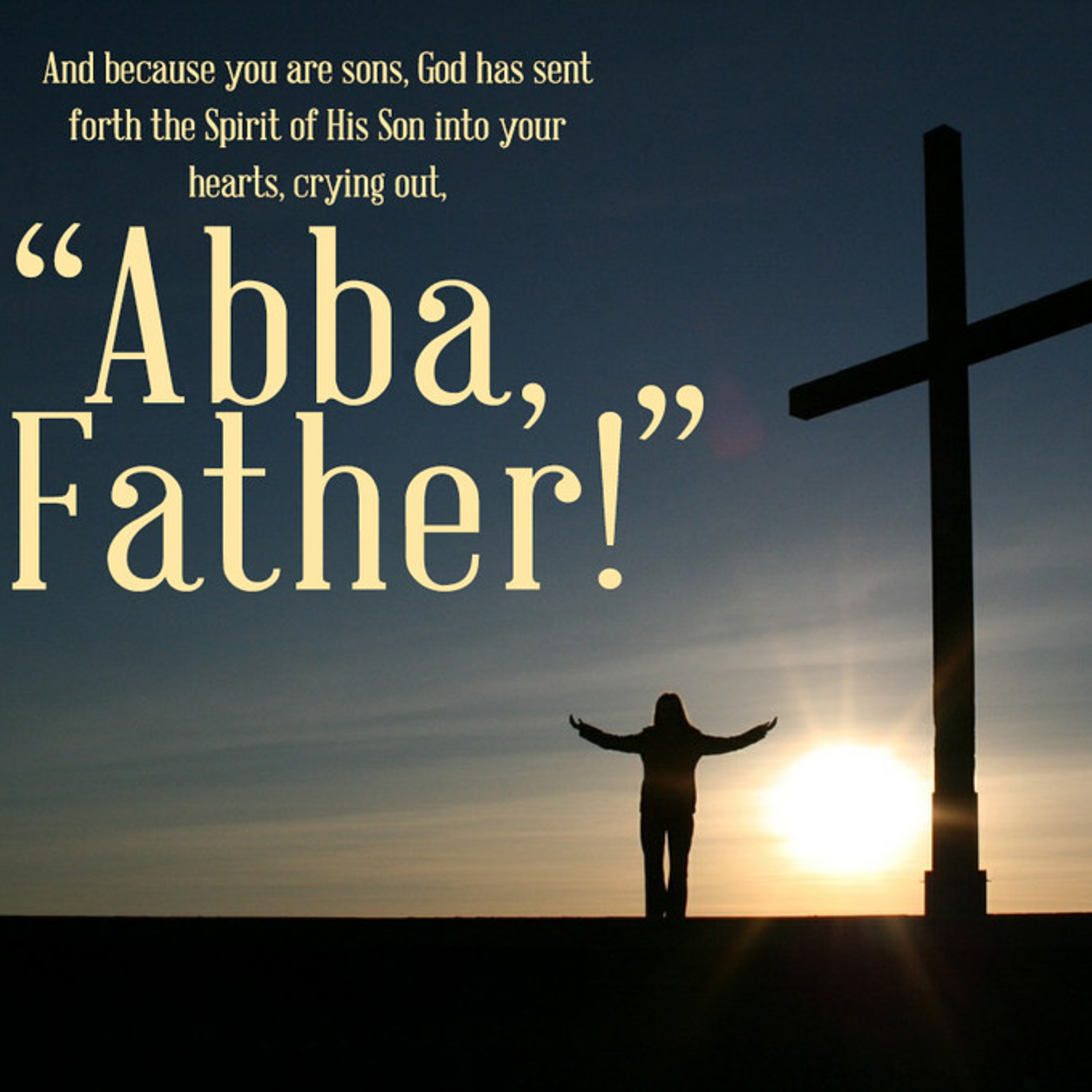 the 8lu8ok - hosted by ur8oy8lu