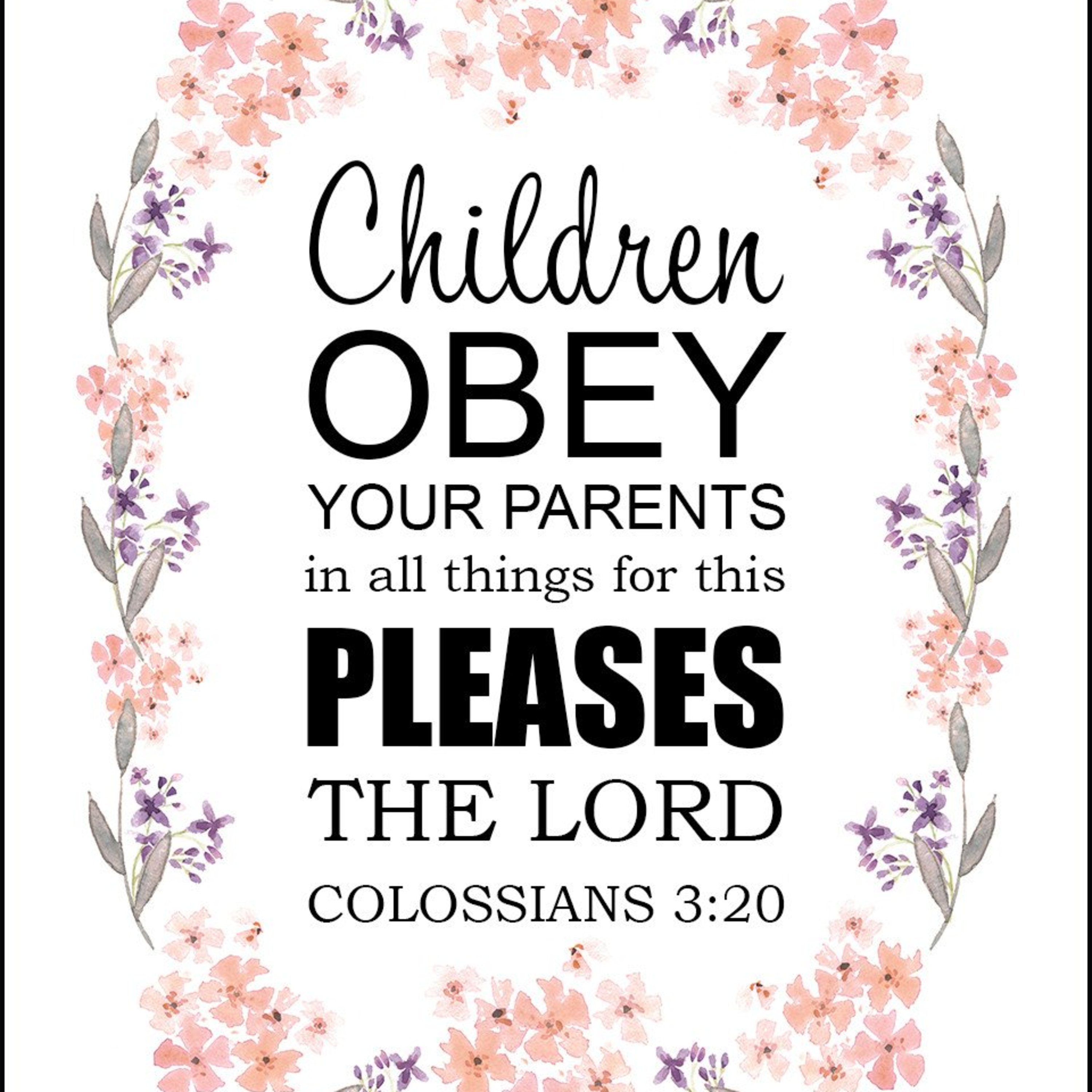 the 8lu8ok - hosted by ur8oy8lu