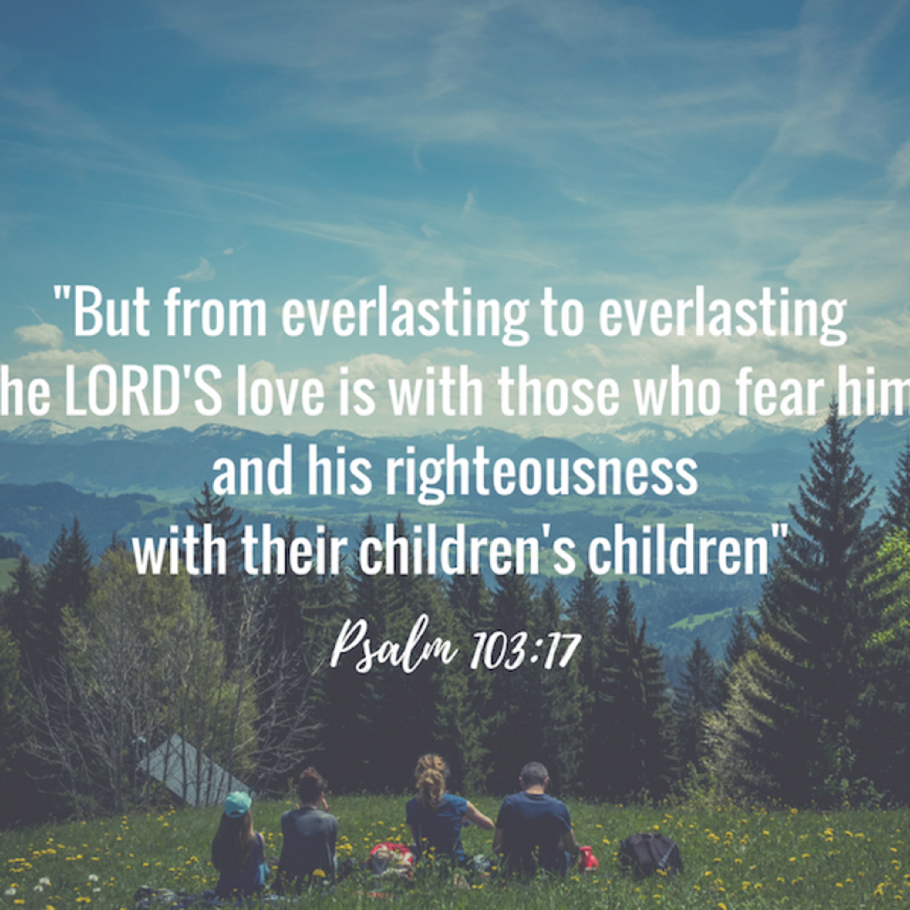 the 8lu8ok - hosted by ur8oy8lu