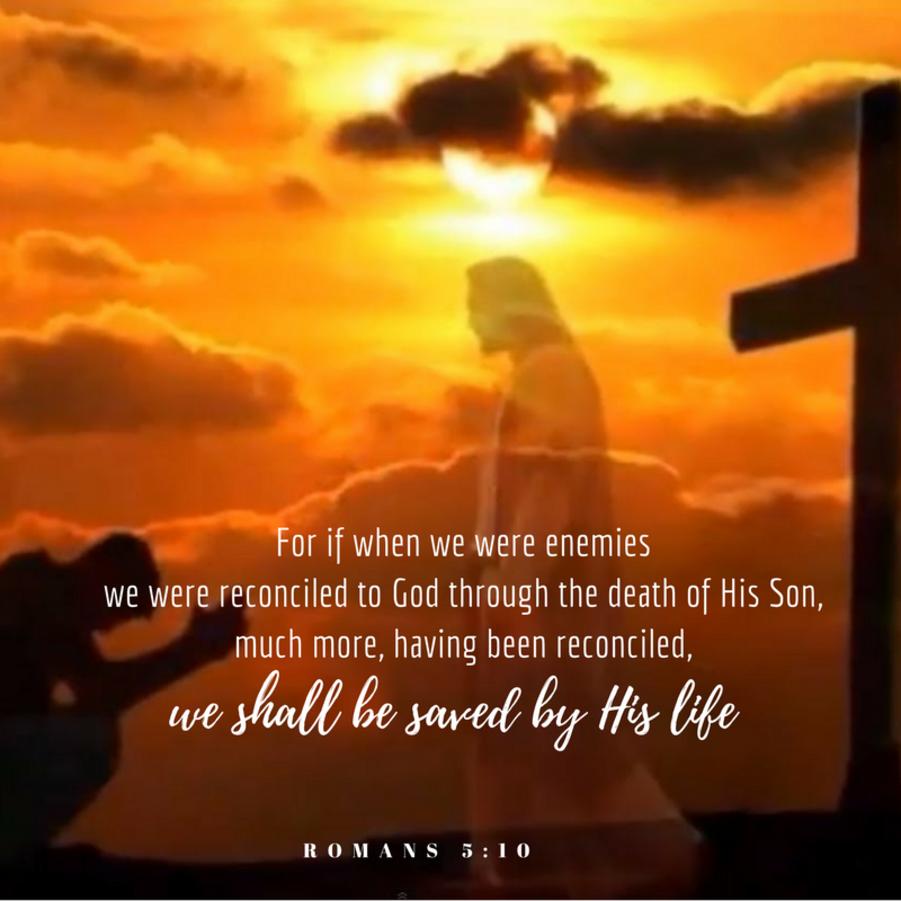 the 8lu8ok - hosted by ur8oy8lu