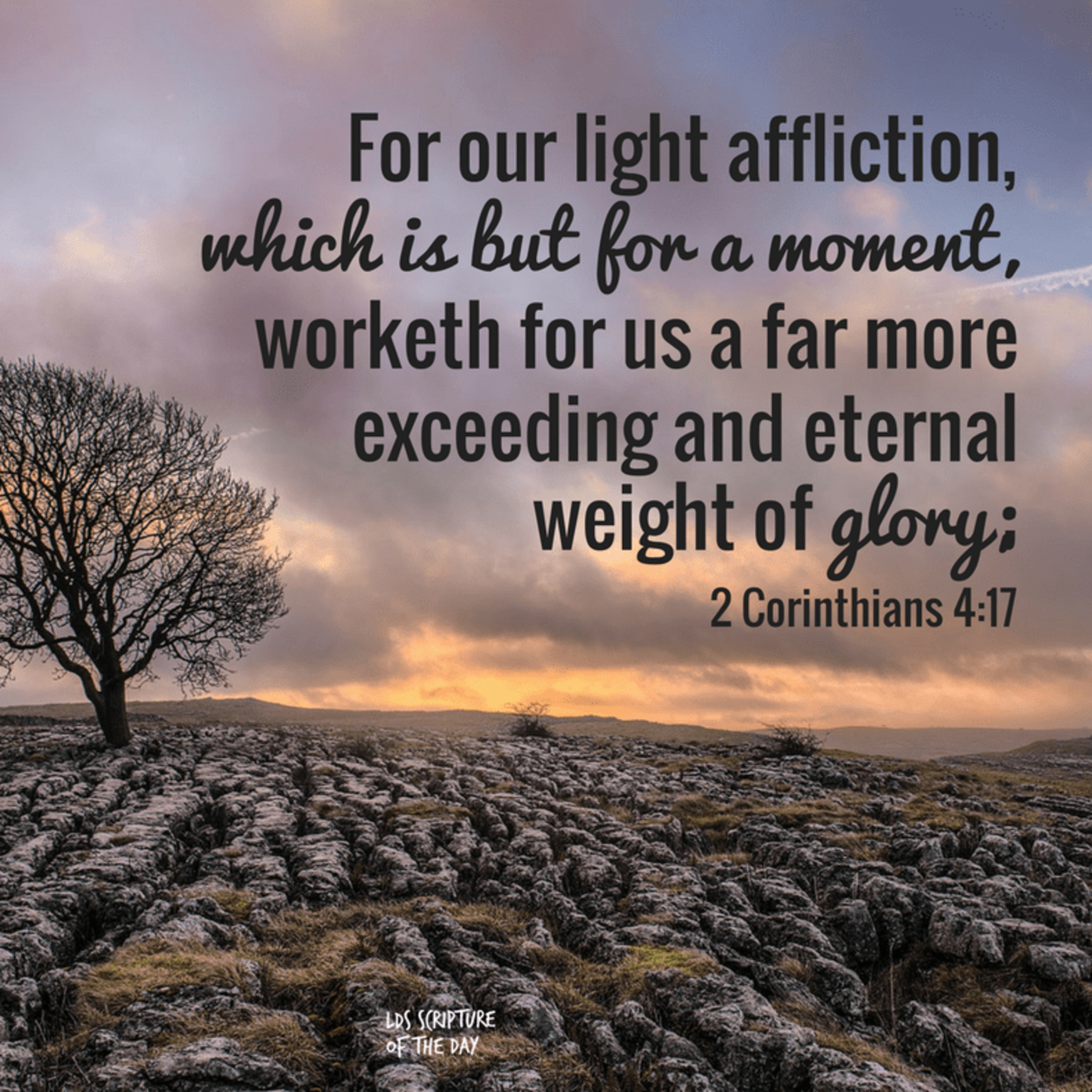 the 8lu8ok - hosted by ur8oy8lu