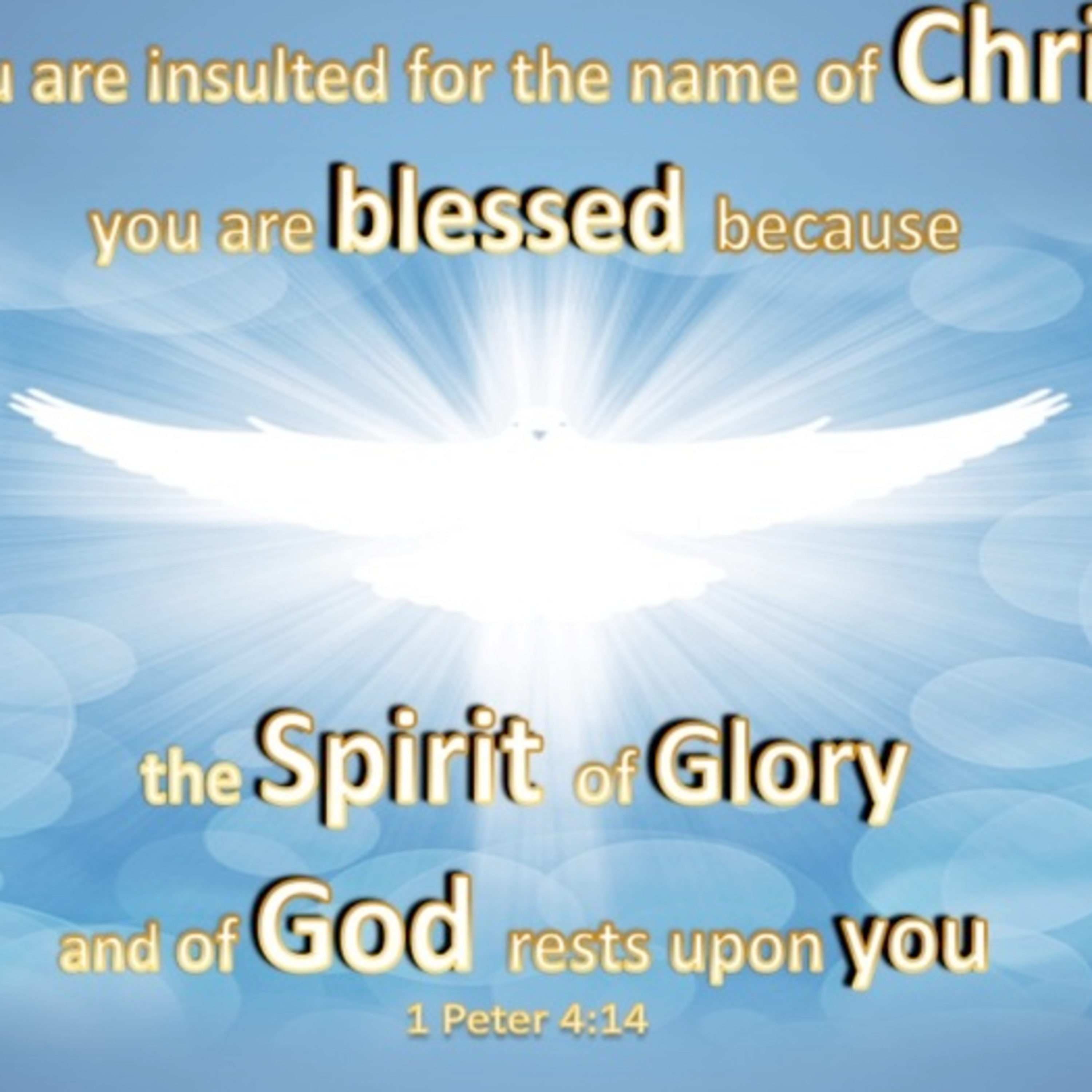 the 8lu8ok - hosted by ur8oy8lu