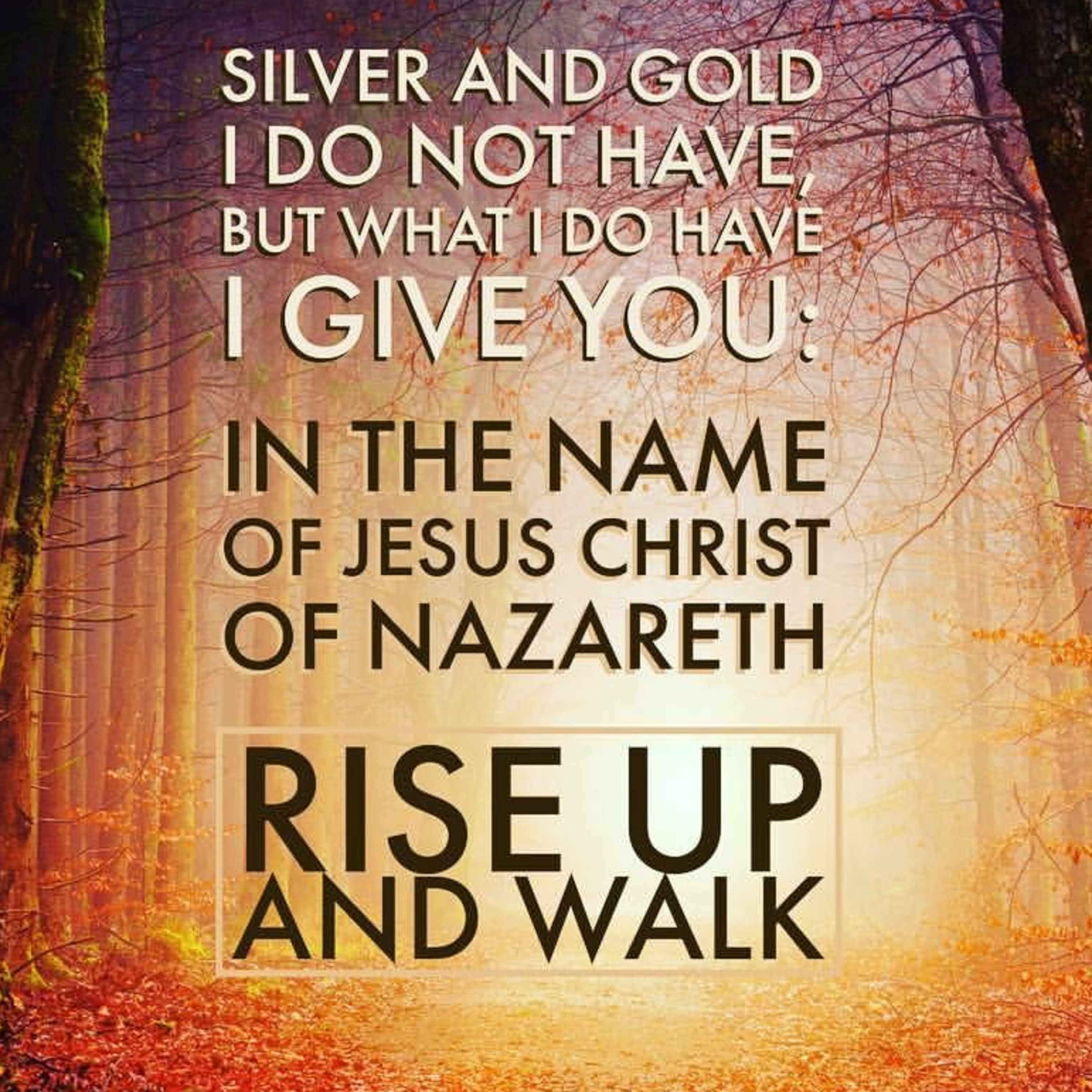 the 8lu8ok - hosted by ur8oy8lu