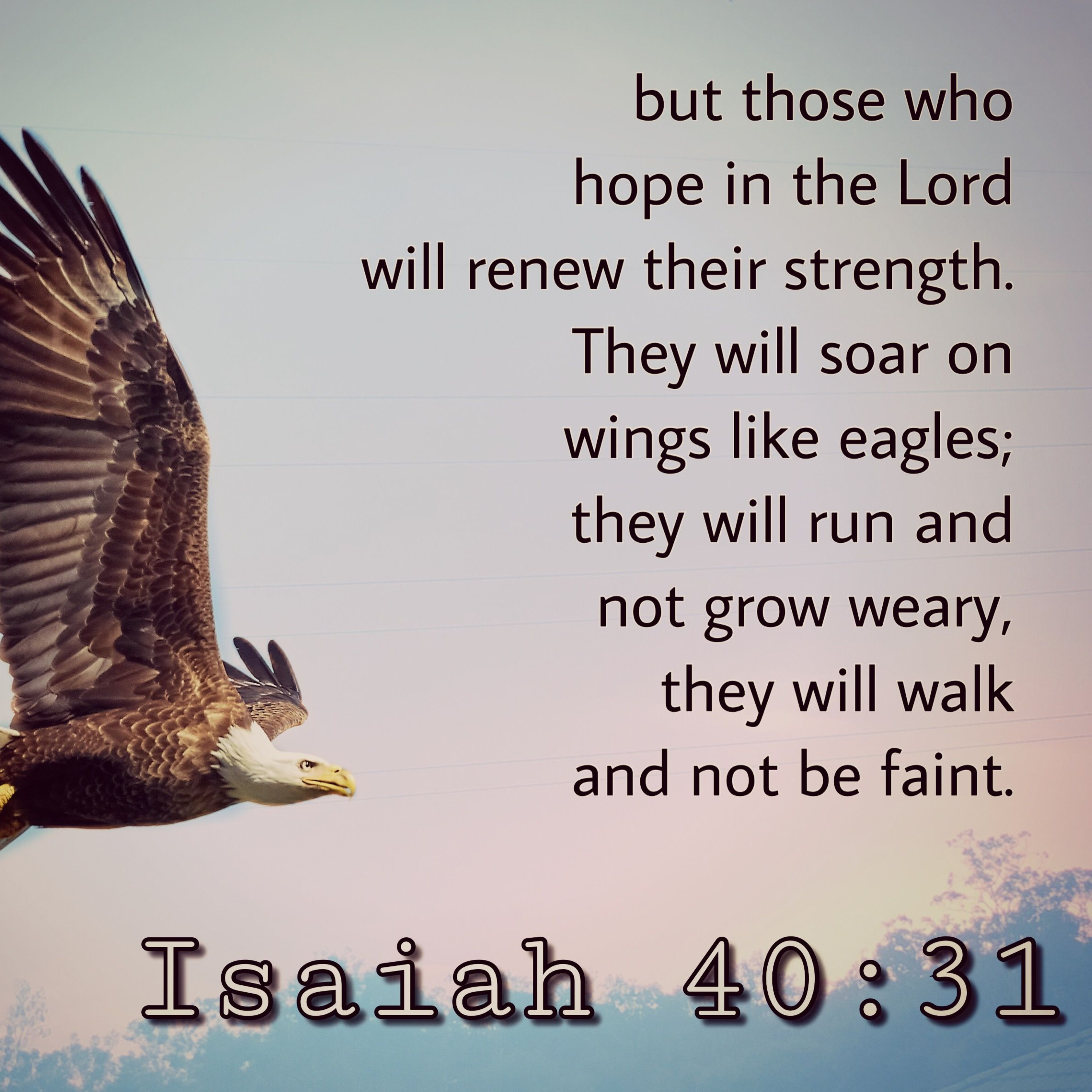 the 8lu8ok - hosted by ur8oy8lu