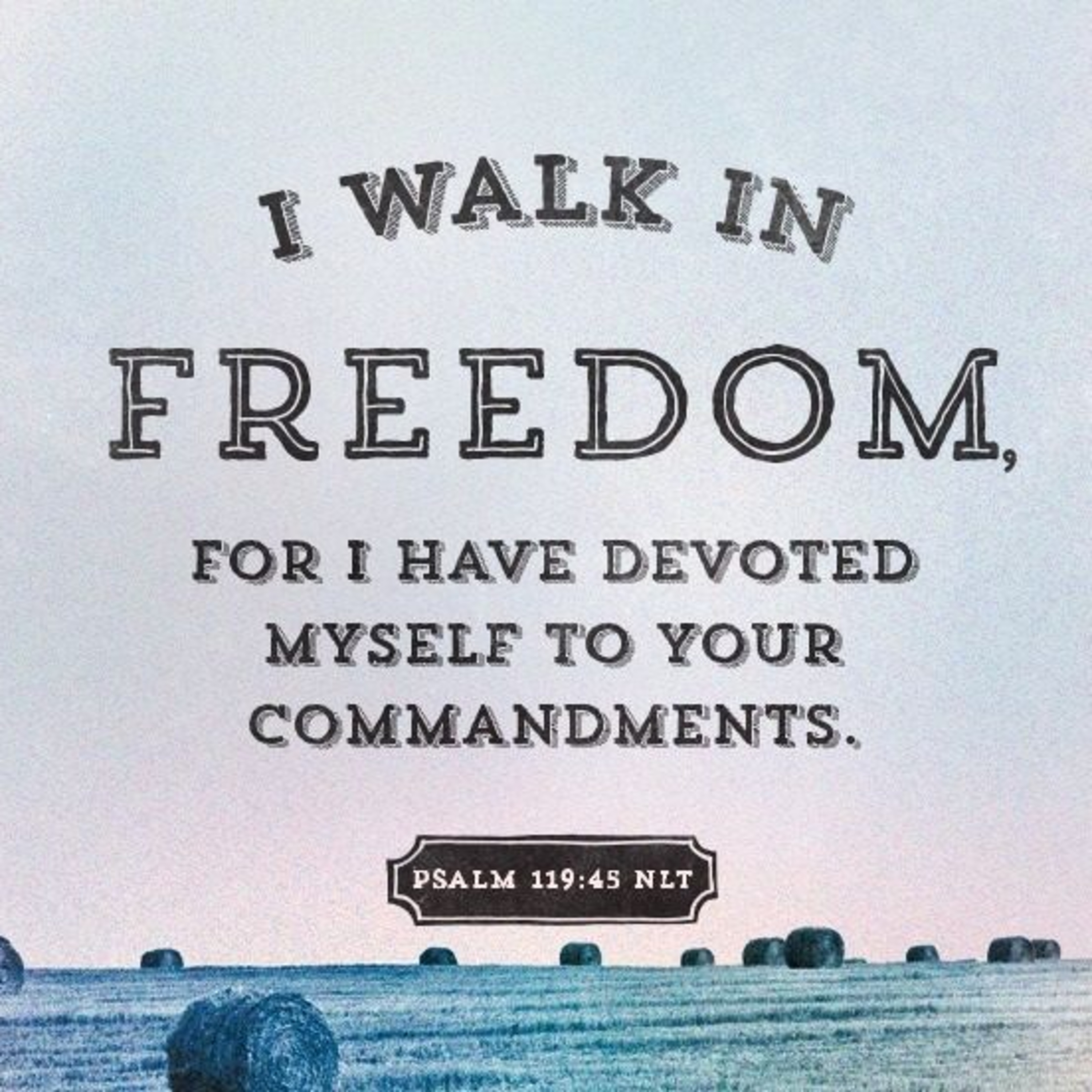 the 8lu8ok - hosted by ur8oy8lu