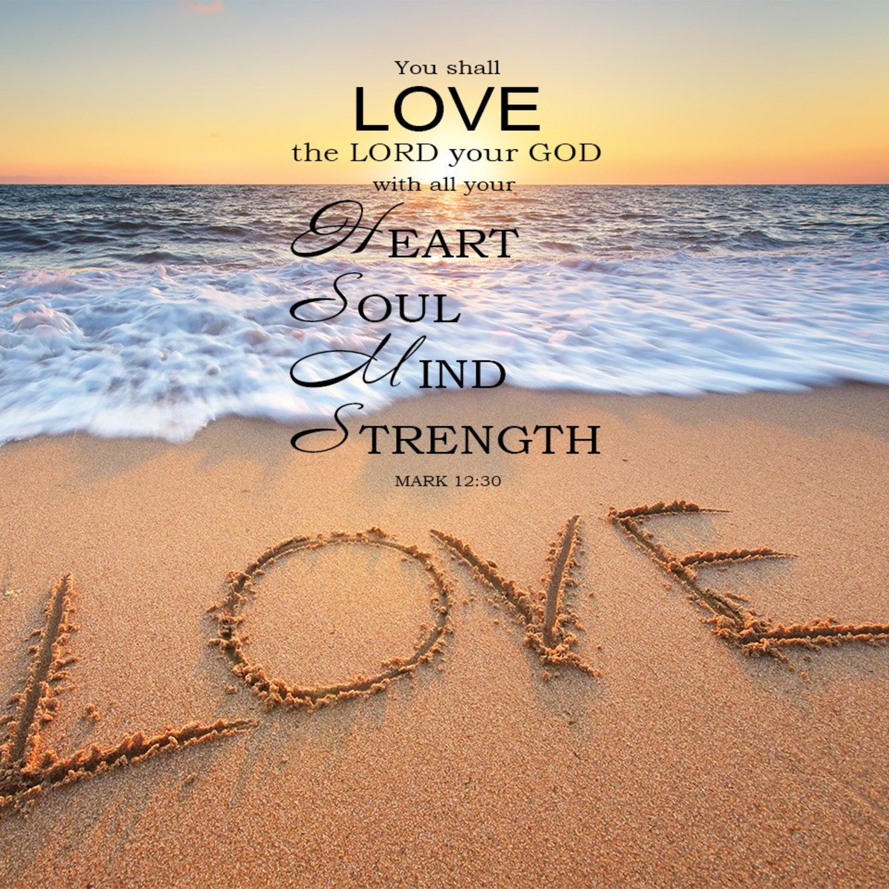 the 8lu8ok - hosted by ur8oy8lu