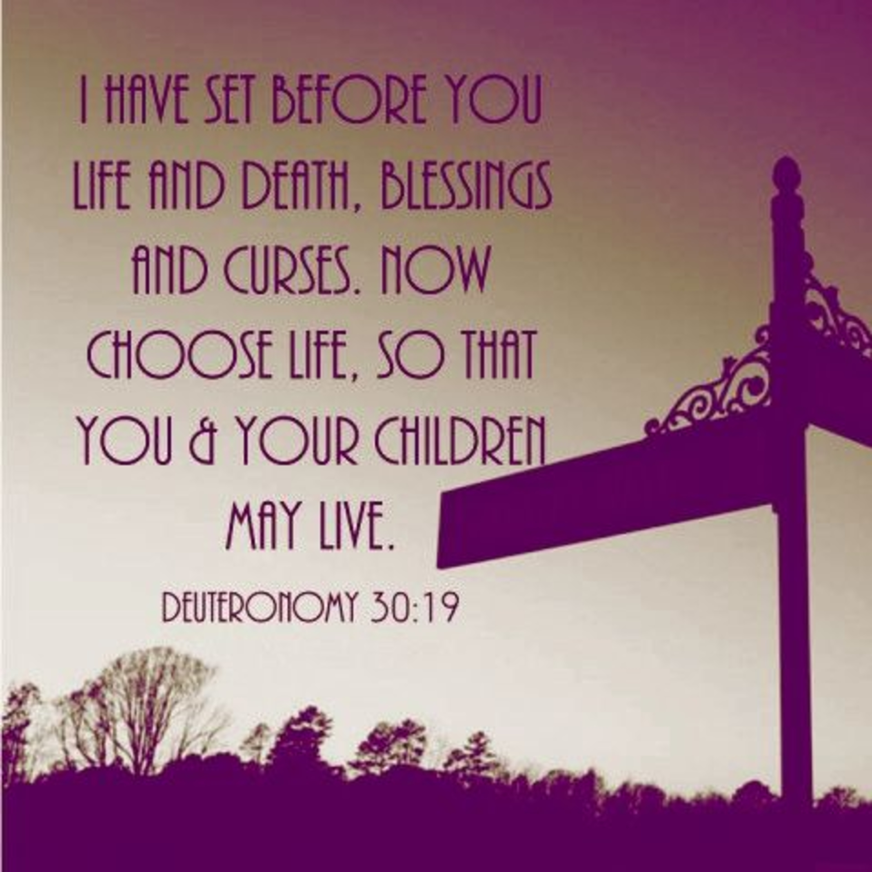 the 8lu8ok - hosted by ur8oy8lu