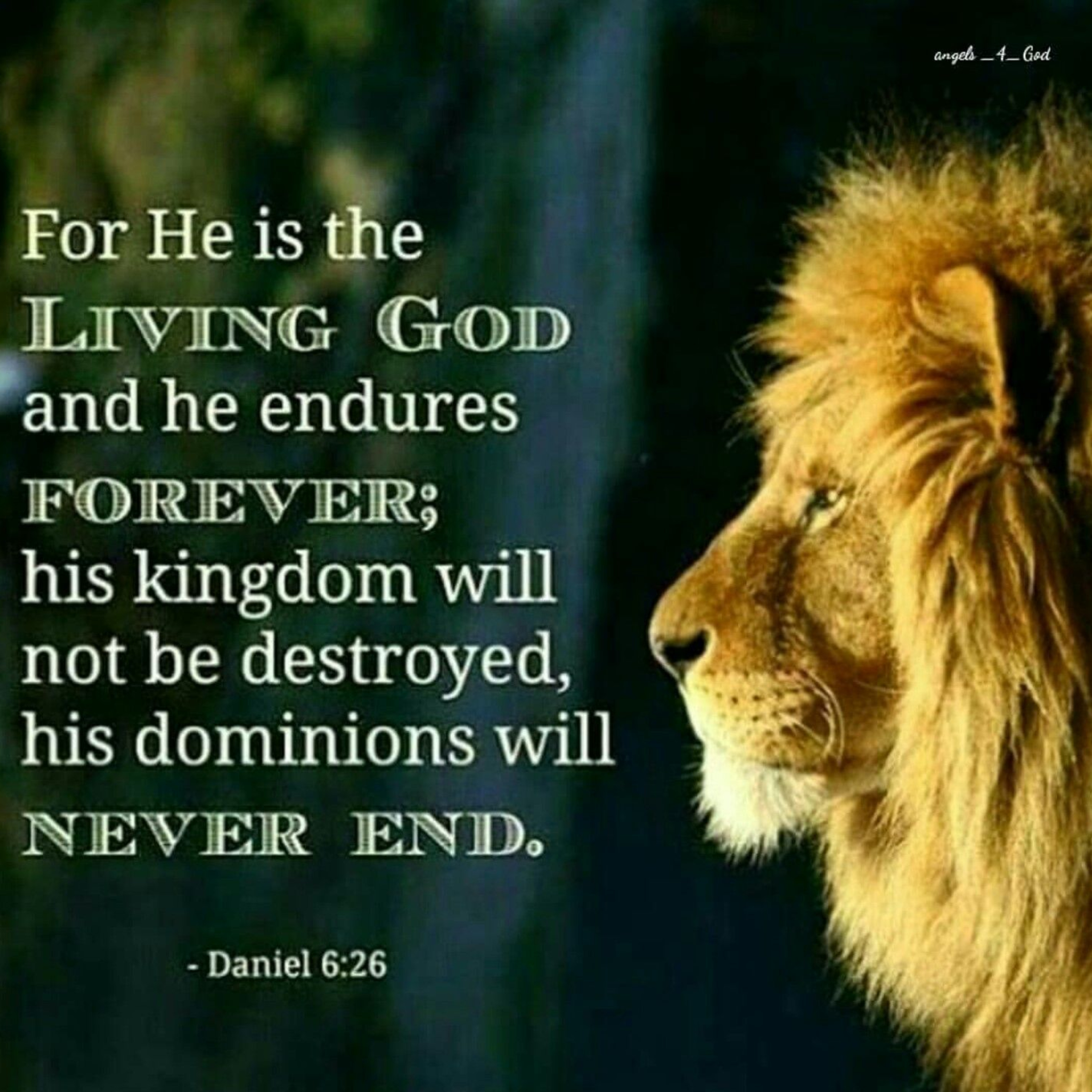 the 8lu8ok - hosted by ur8oy8lu