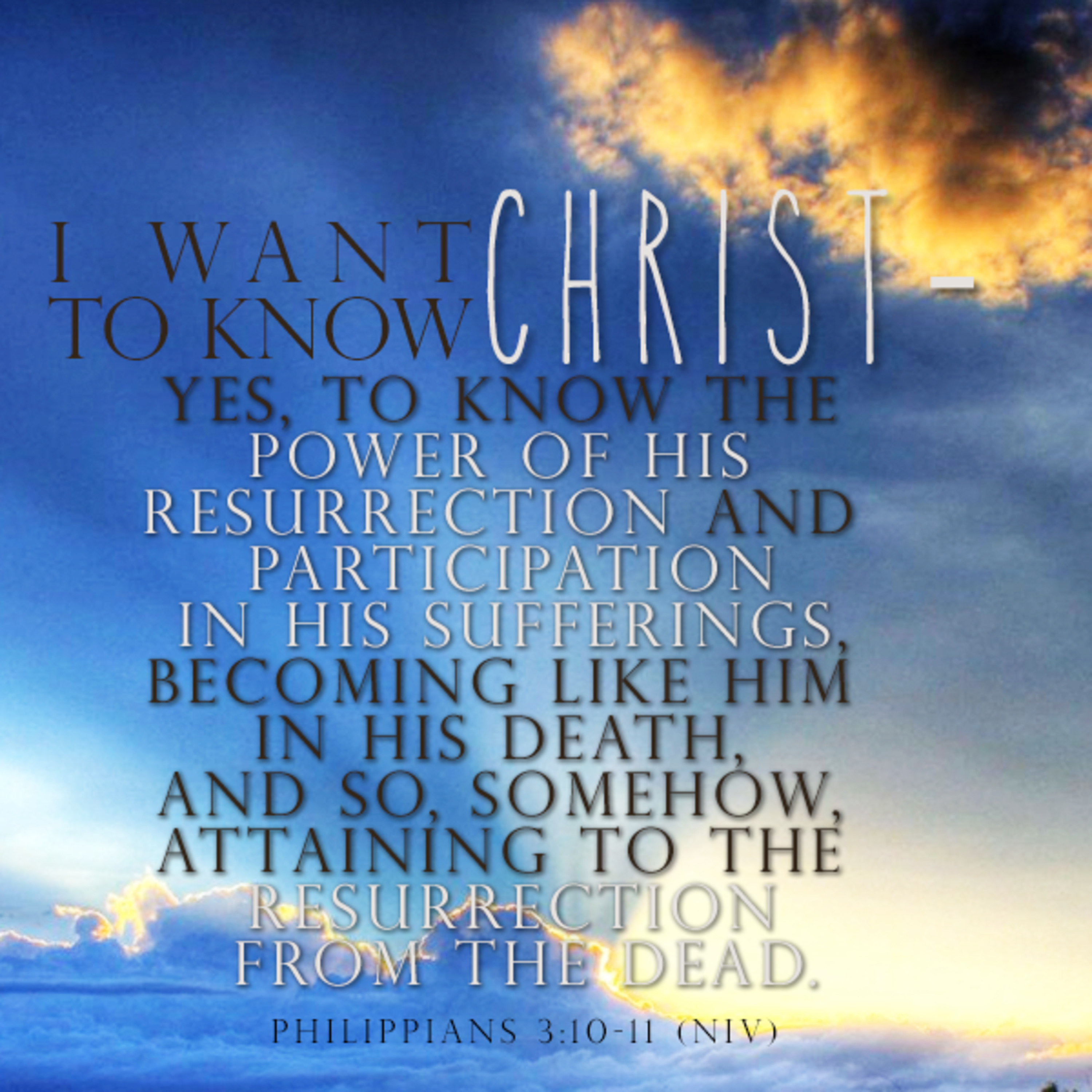 the 8lu8ok - hosted by ur8oy8lu