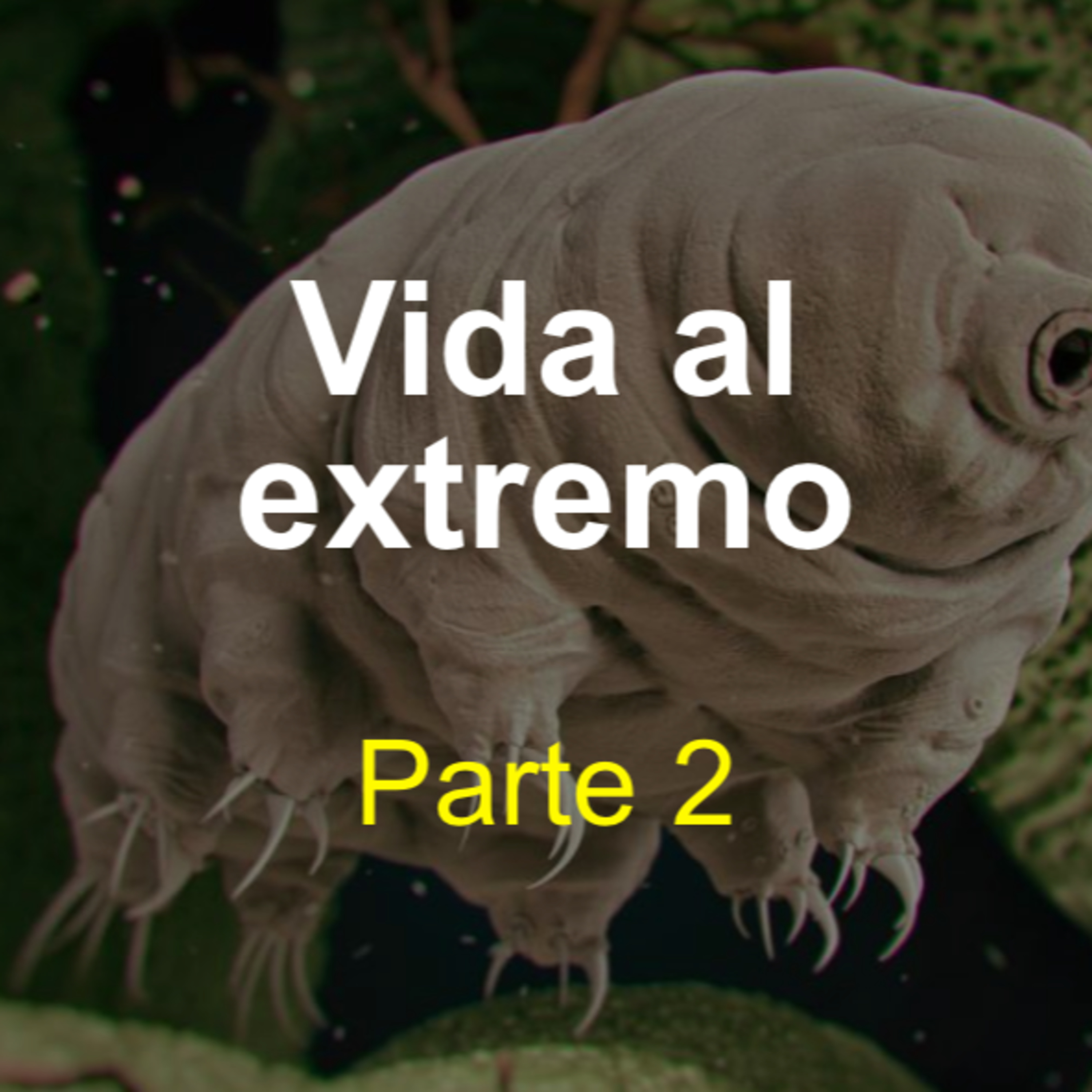 Vida al extremo (parte 2) episode artwork