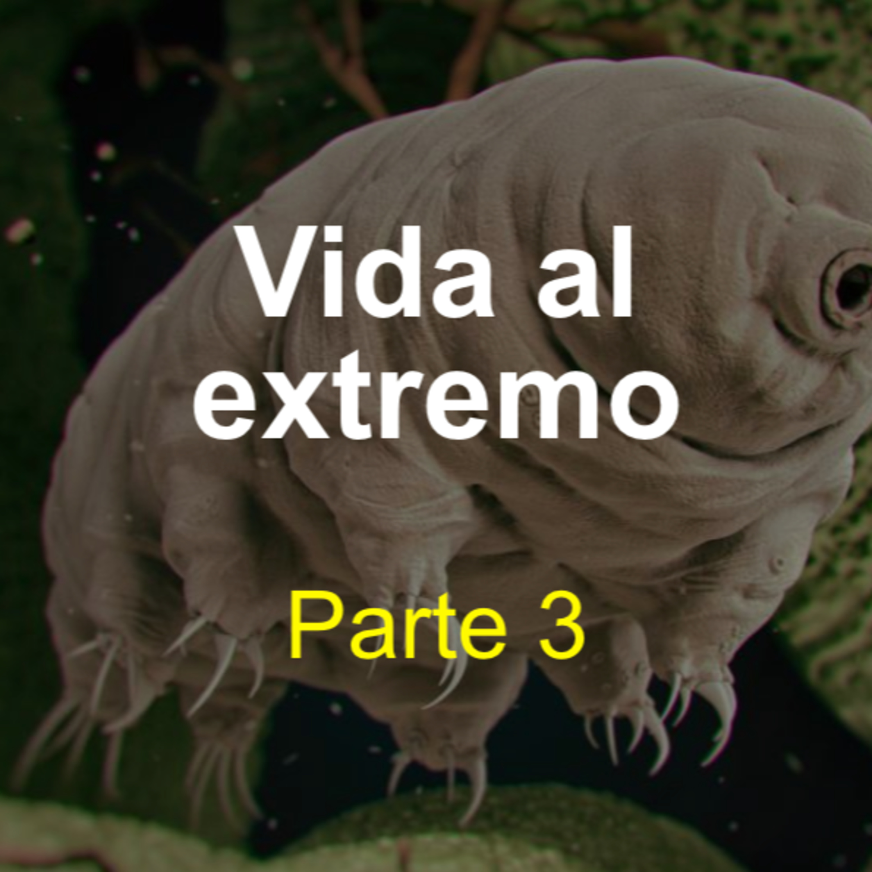 Vida al extremo (parte 3) episode artwork
