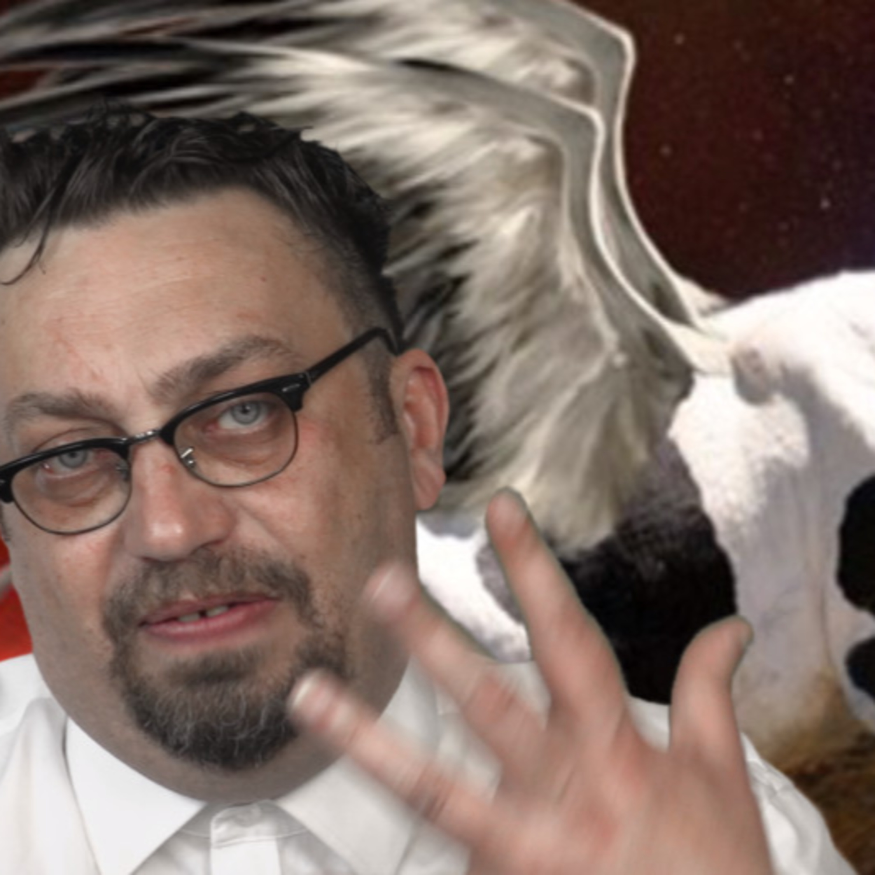 Lewica walczy z kotami, prawica płacze po Dumpie, reszta czeka na gajowego episode artwork