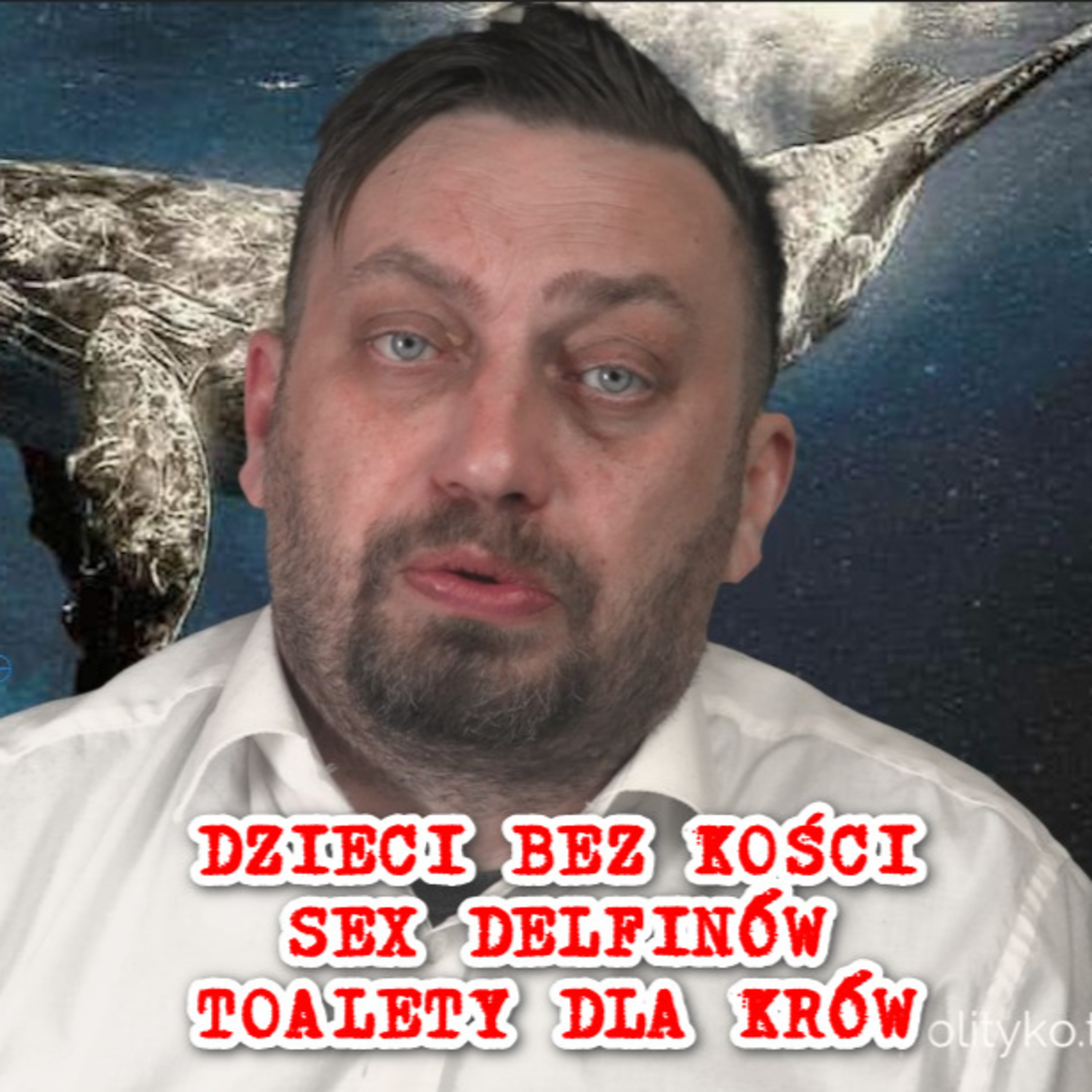 Sex delfinów, dzieci ważone bez kości, toalety dla krów. episode artwork