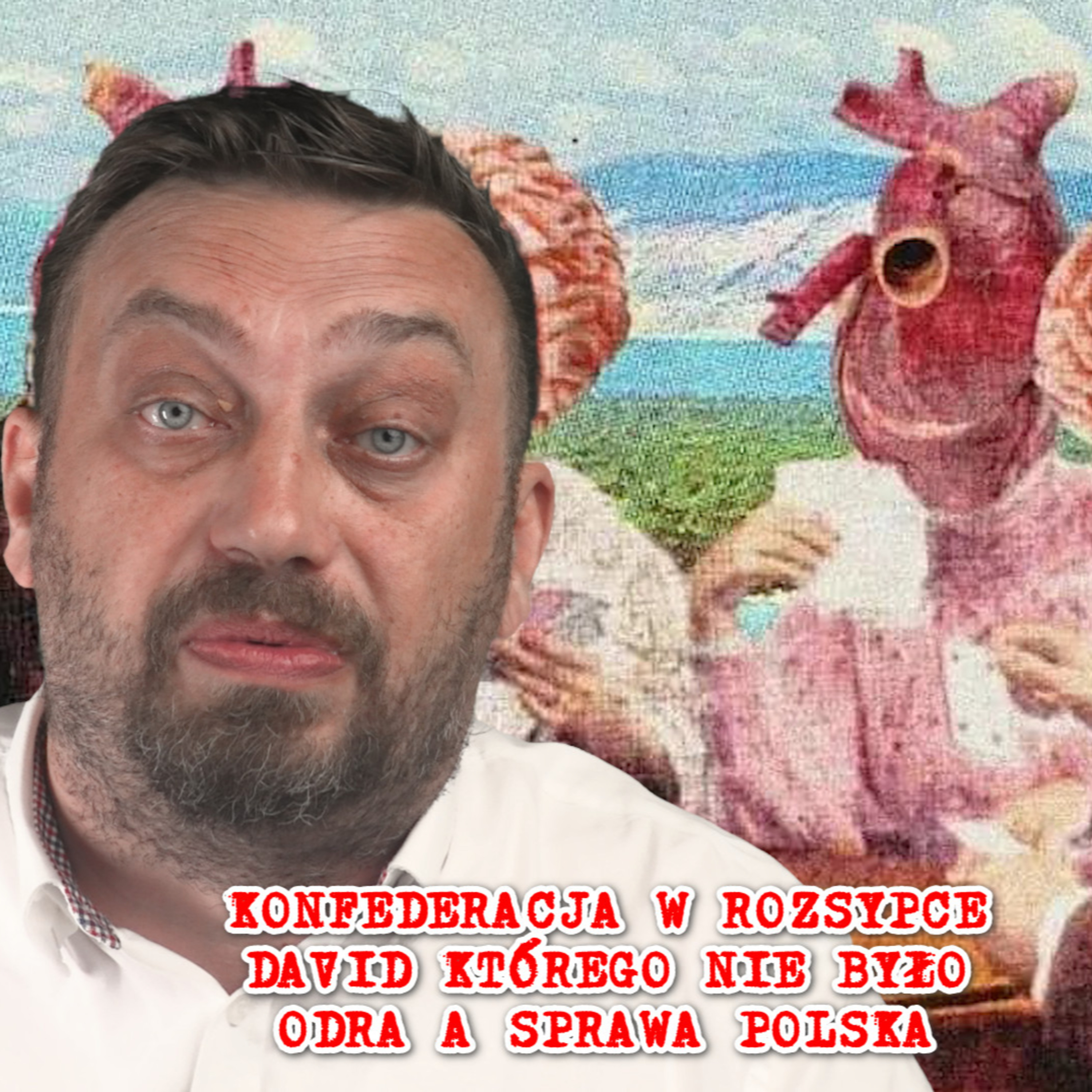Koniec Konfederacji? Koniec Odry? Koniec Davida?  episode artwork