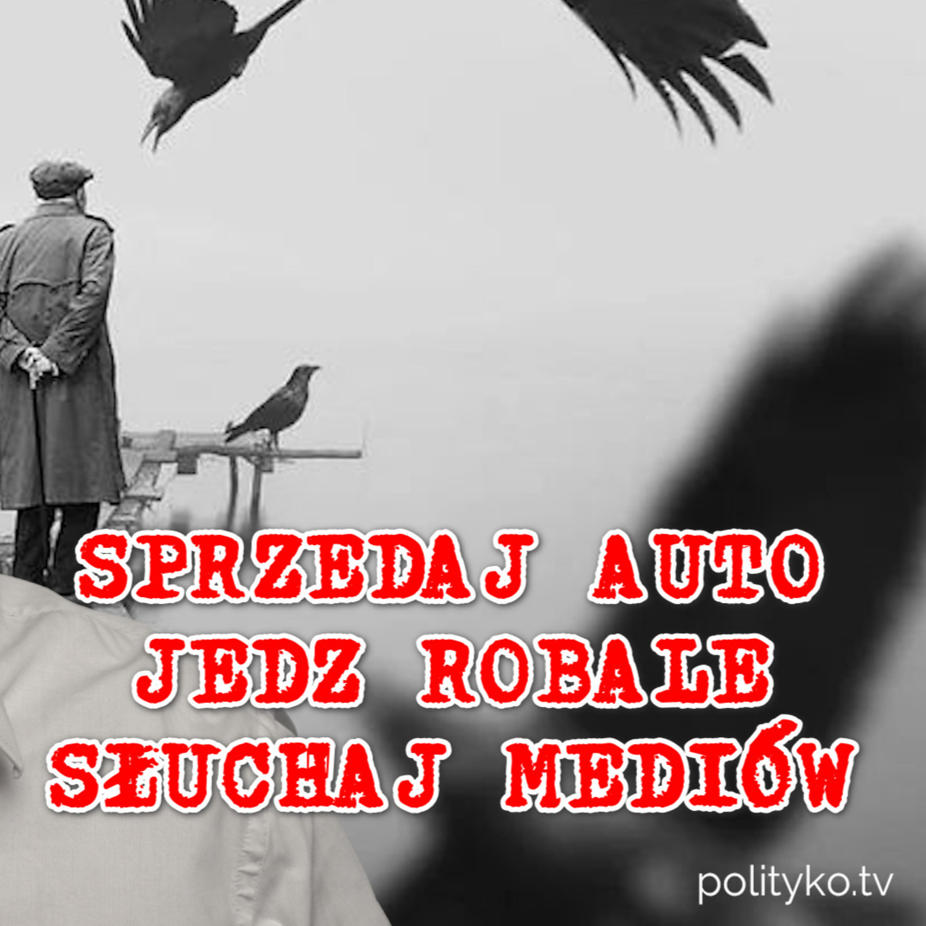 Robale na tacy, mutuj by zarabiać, media do wynajęcia. episode artwork