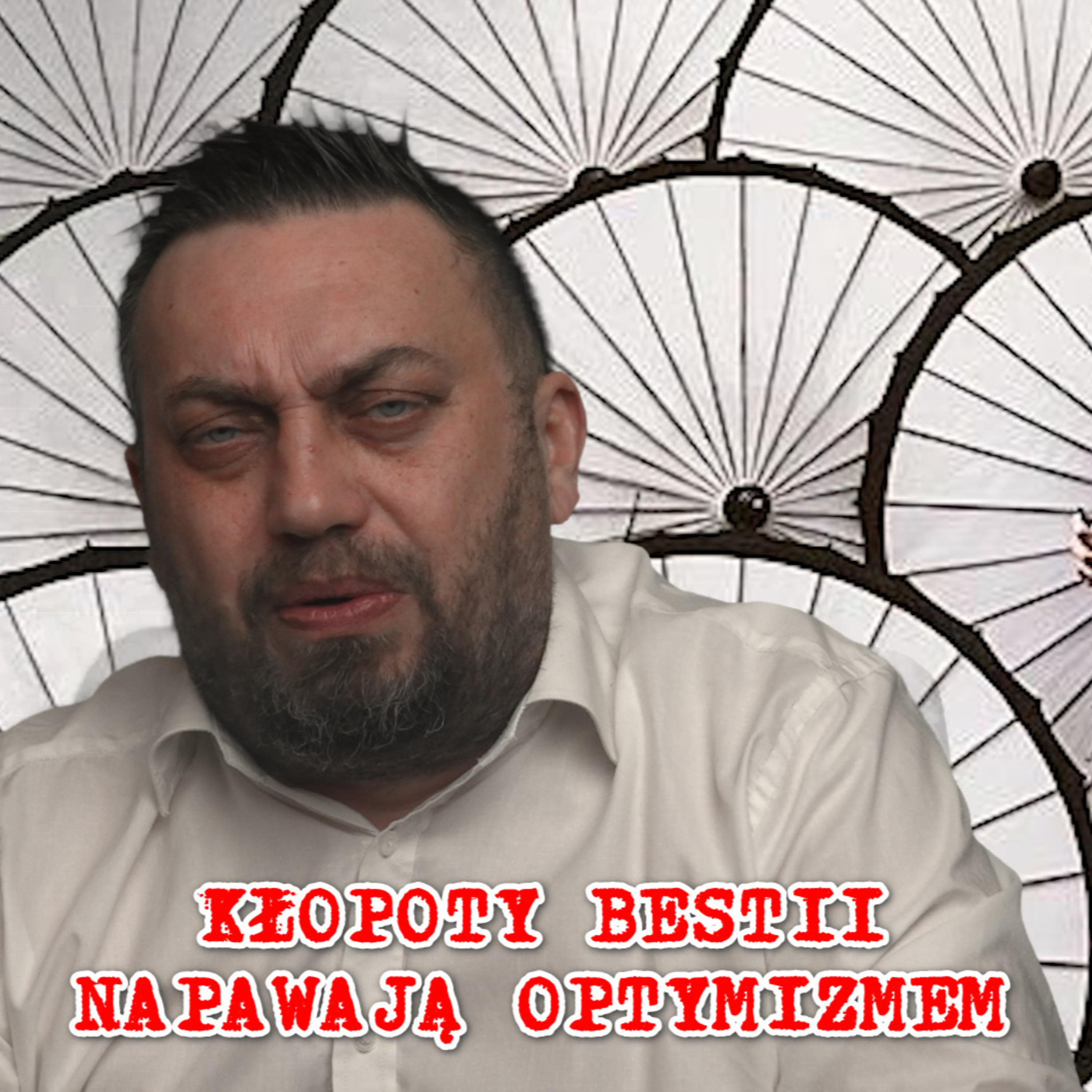 Czemu wojskowi odchodzą z armii, podatek od zbiórek, kasa dla królików PiS. episode artwork