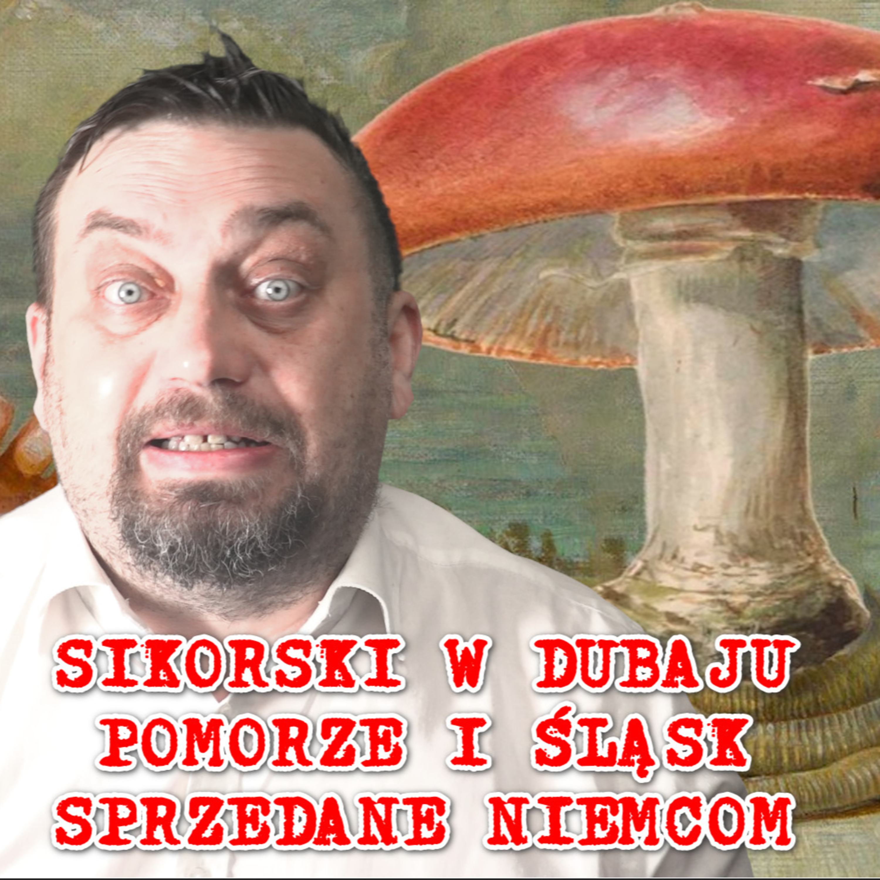 Sikorski w Dubaju, tusza bije w czerep, Berlin kupuje Śląsk i Pomorze. episode artwork