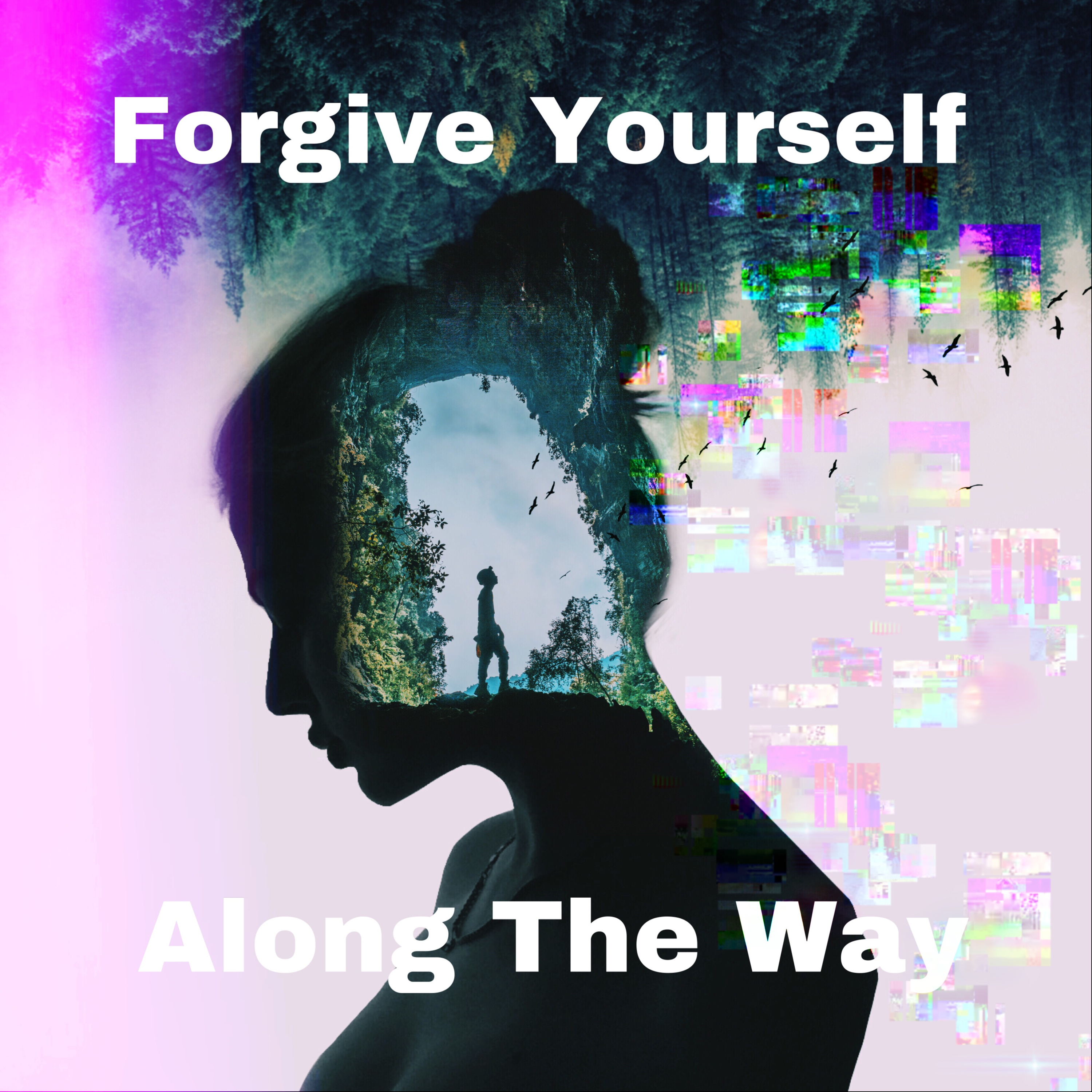 Nobody's Perfect: Drive hard toward your goals and forgive yourself along the way episode artwork