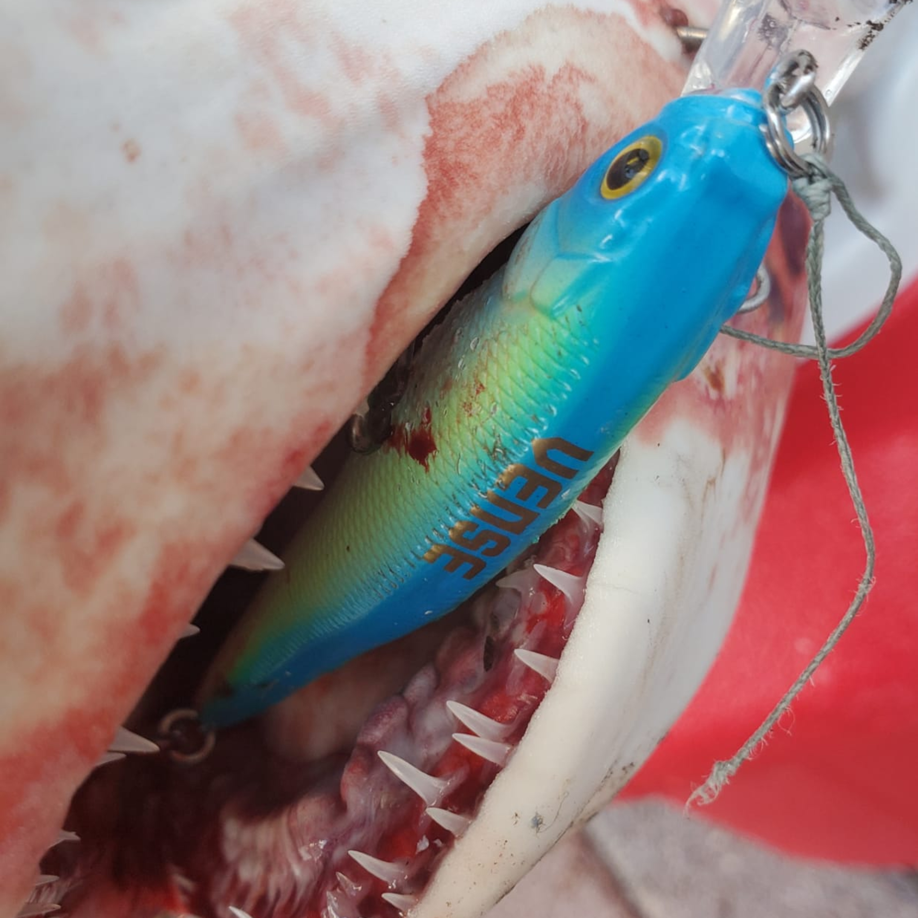 Historias de pesca