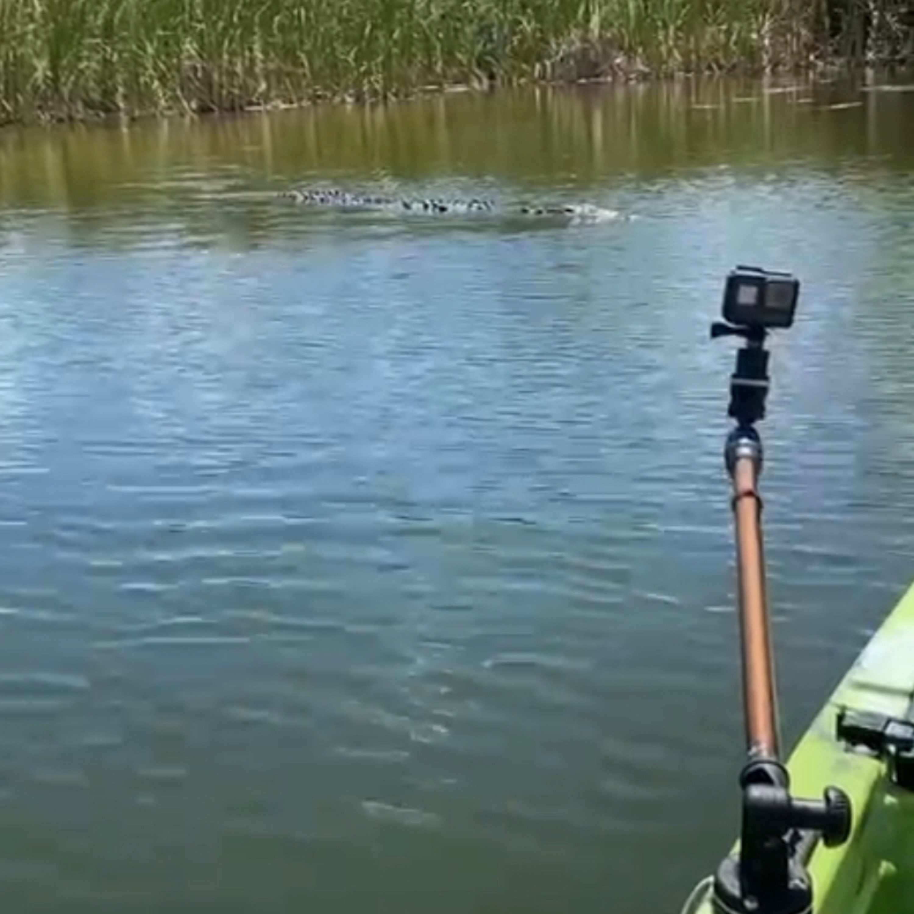 Historias de pesca