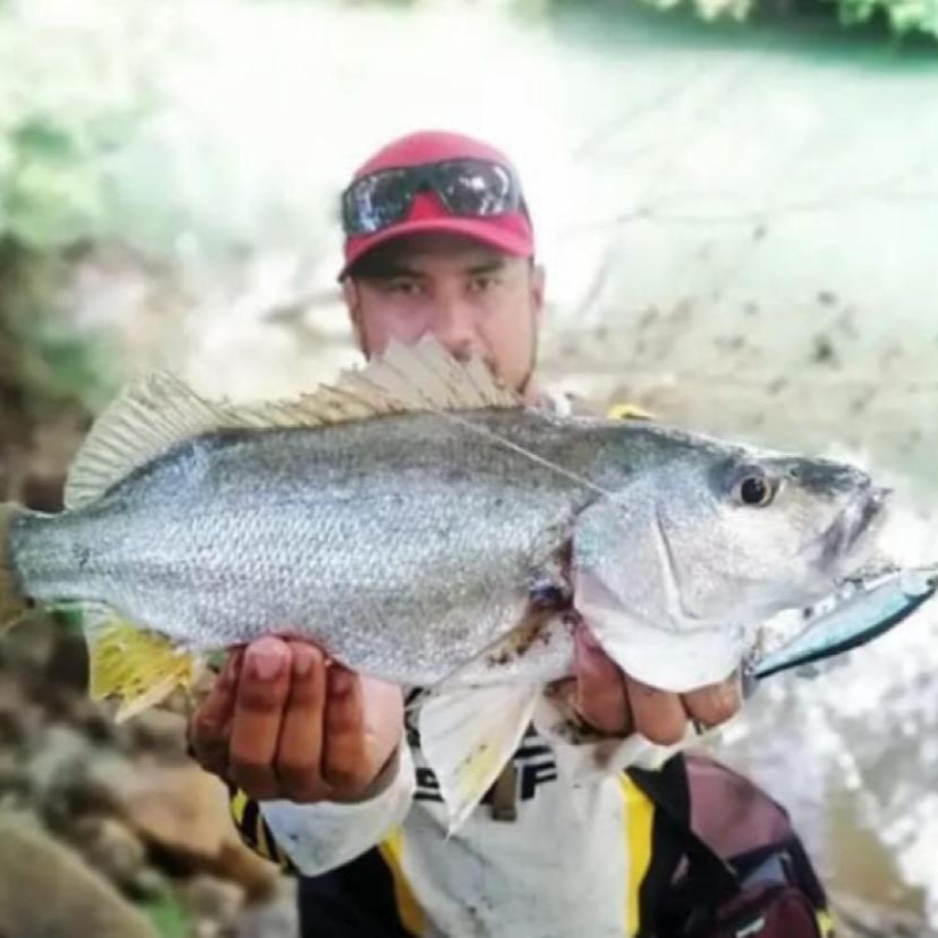 Historias de pesca