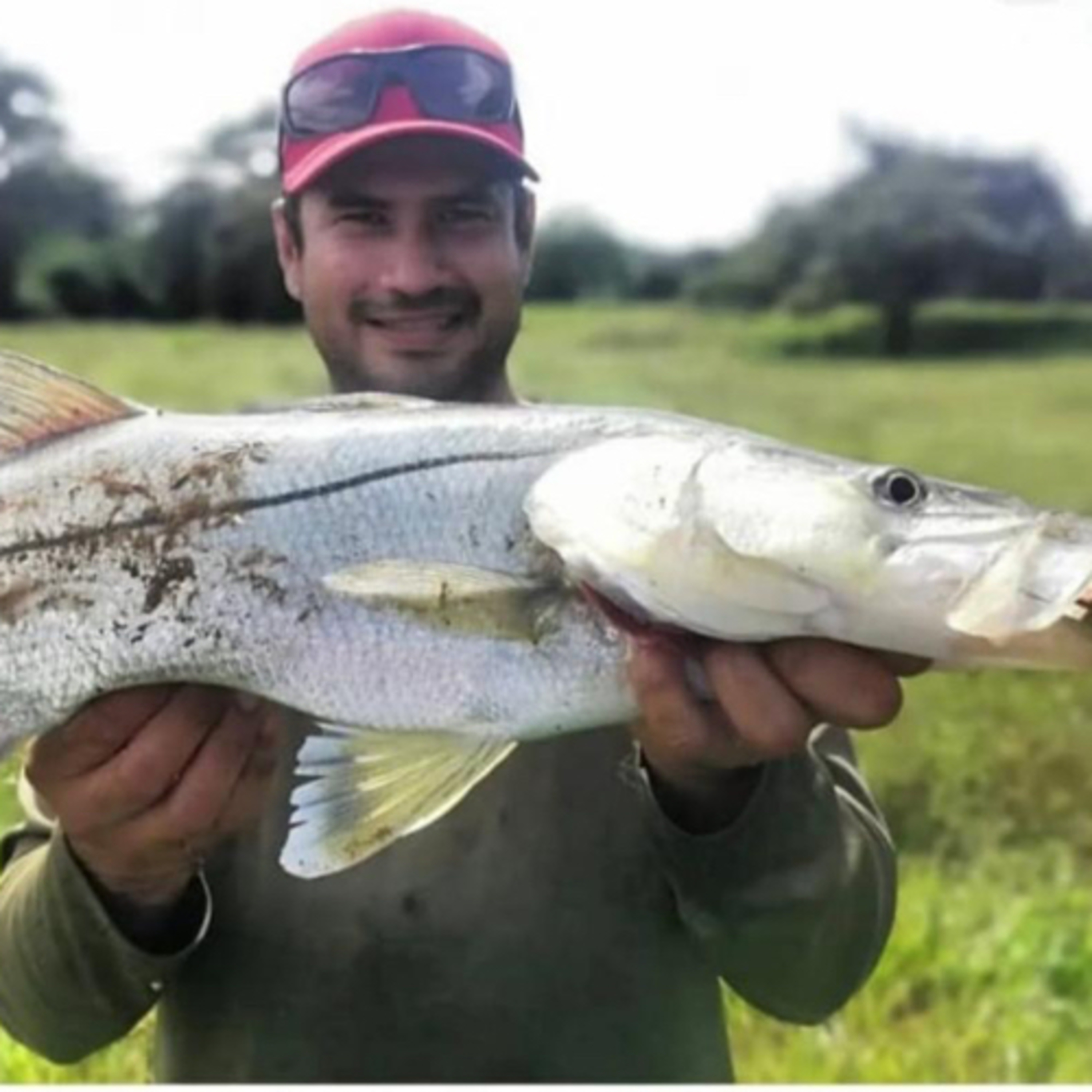 Historias de pesca