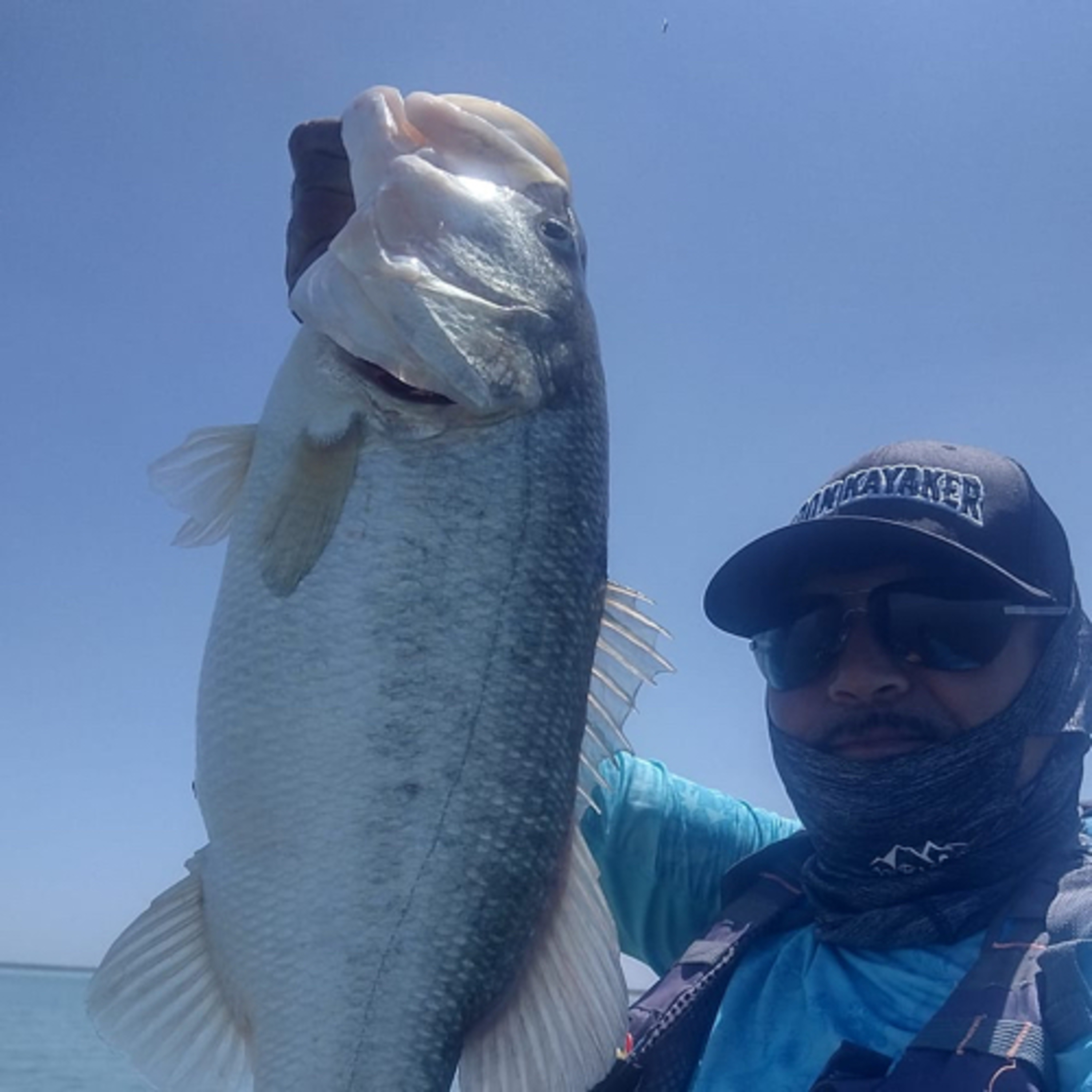 Historias de pesca