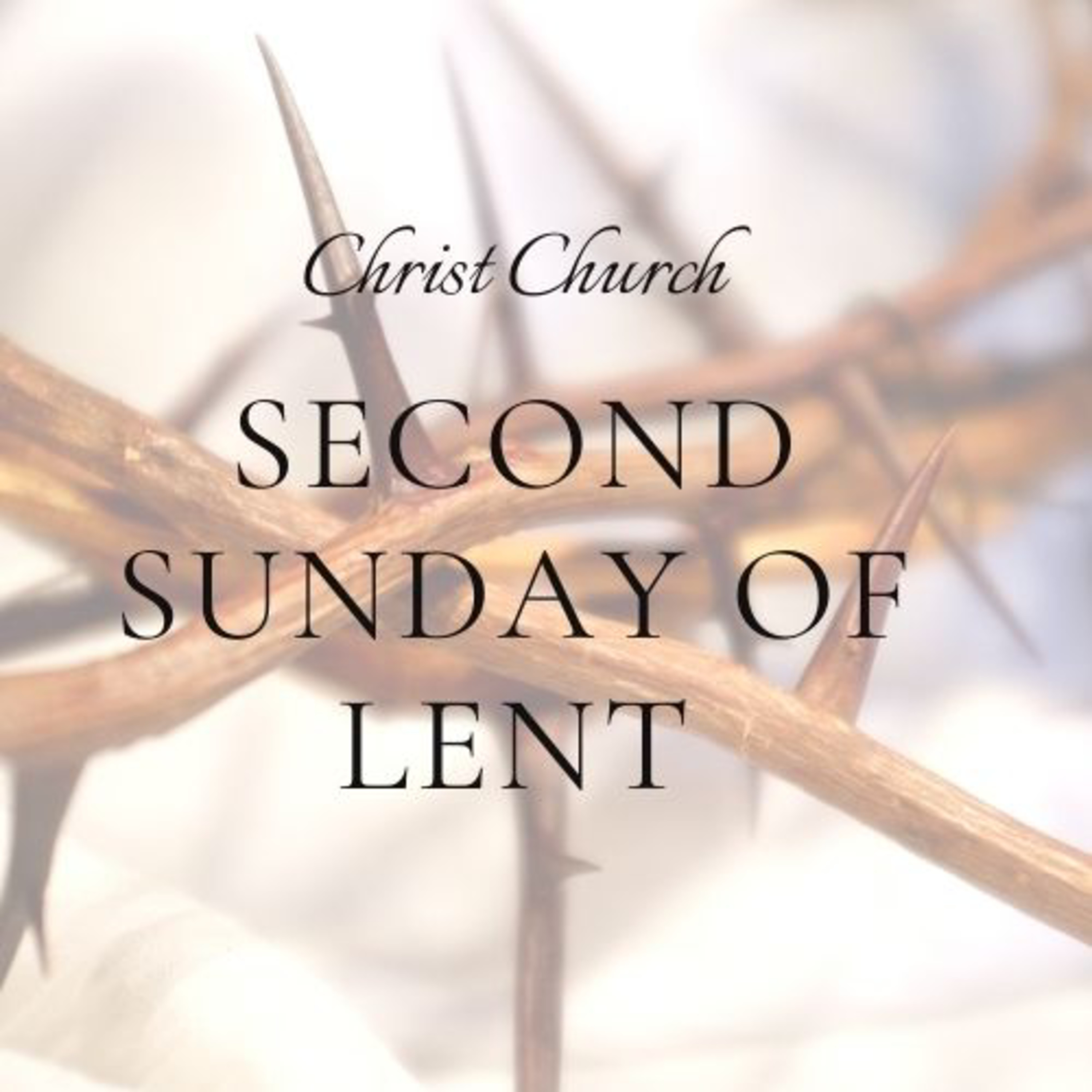Christ Church Delavan - Sermons