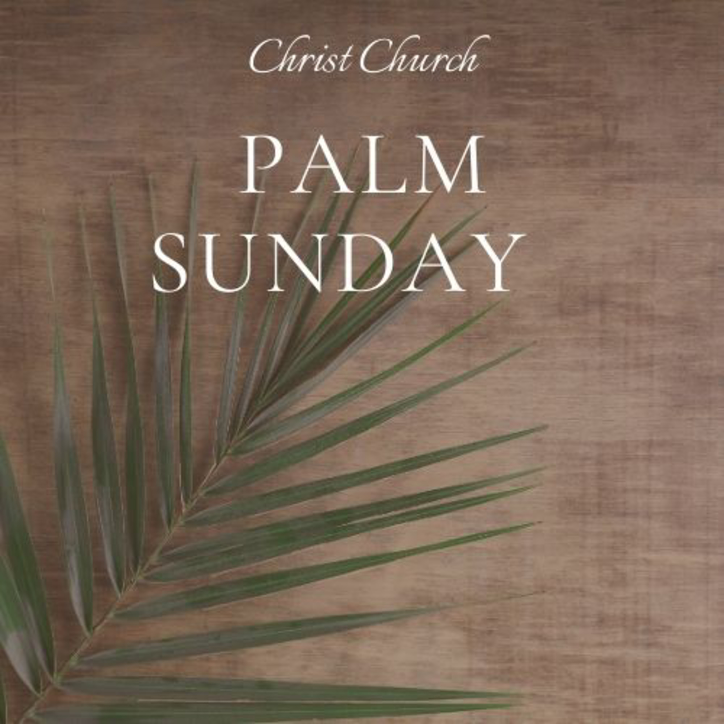 Christ Church Delavan - Sermons