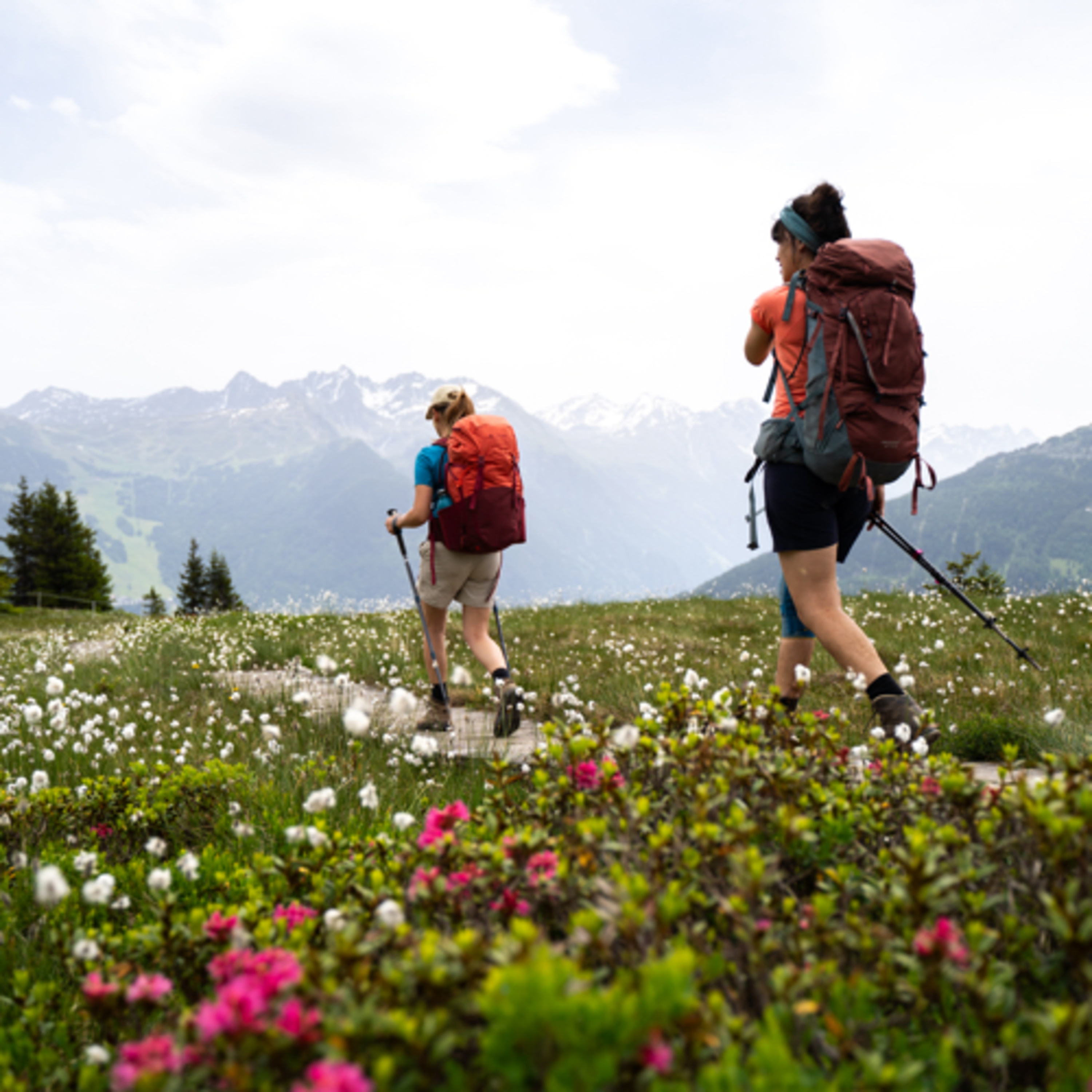 a Gitsch in Kartitsch - der Wanderpodcast