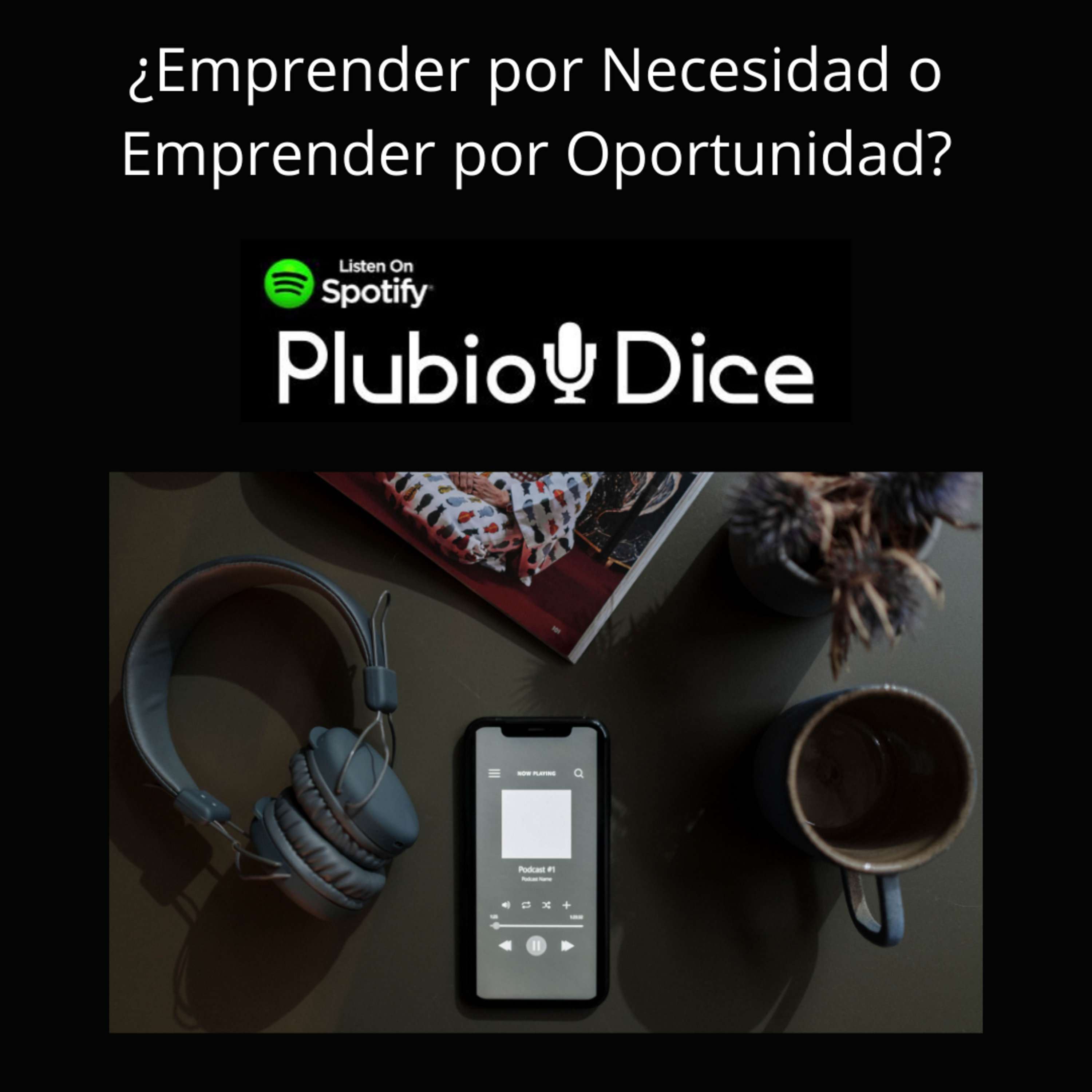 plubio dice