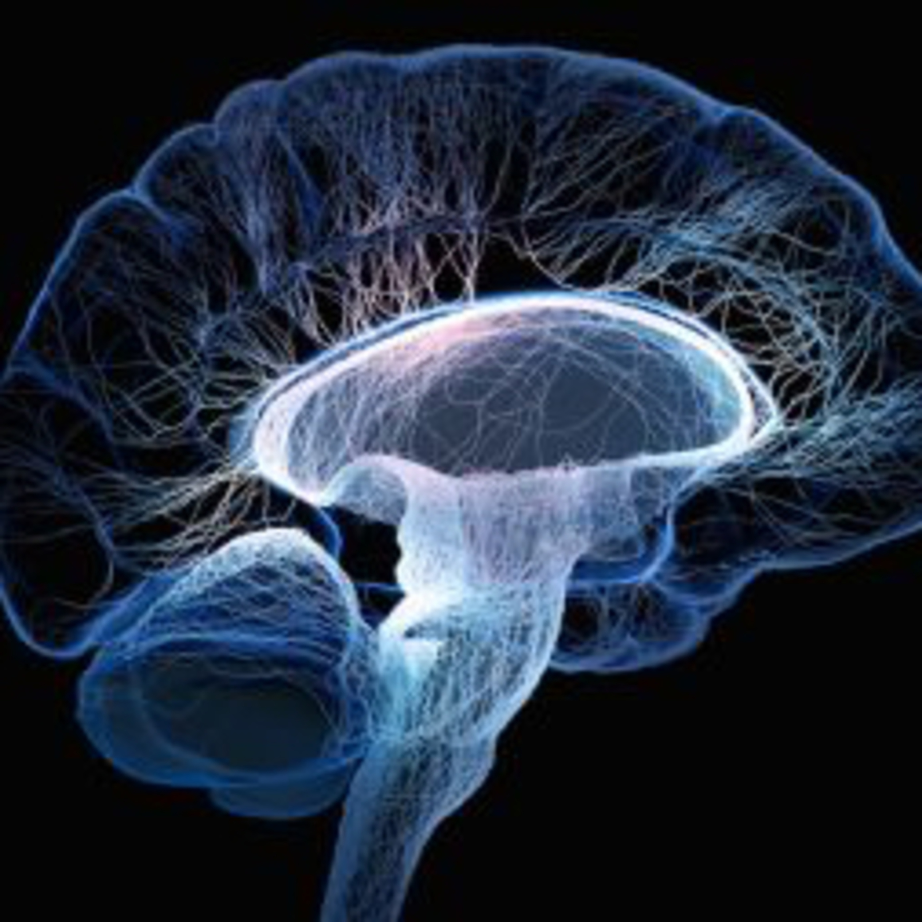 Particularidades del cerebro humano  episode artwork