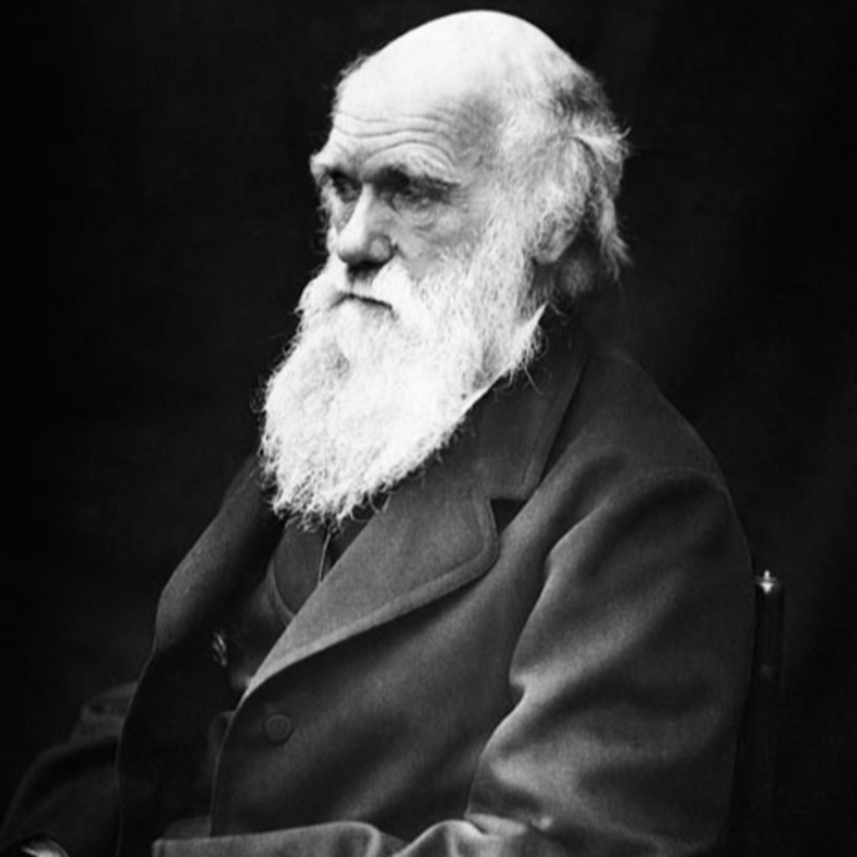 Las peligrosas ideas de Darwin contra el creacionismo episode artwork