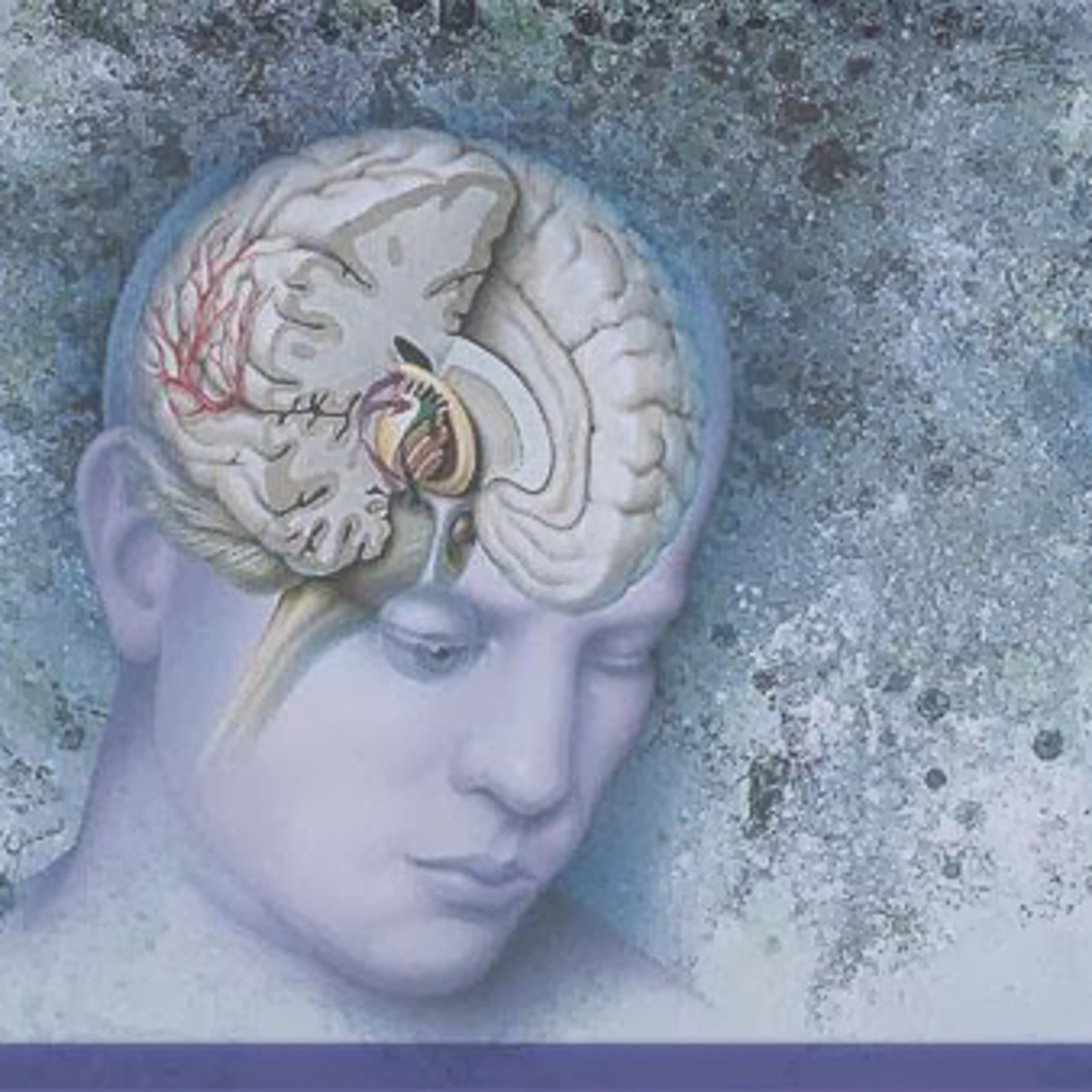 Retorno al Orden: Neurociencias & Cultura General