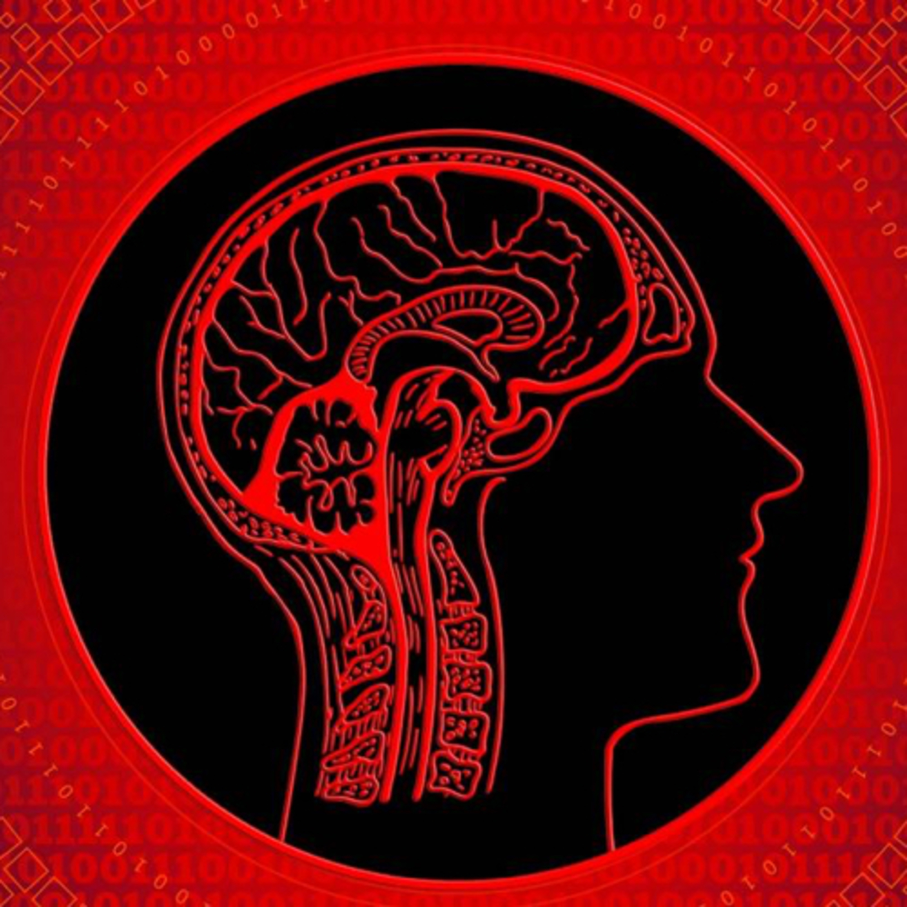 El cerebro emocional  episode artwork