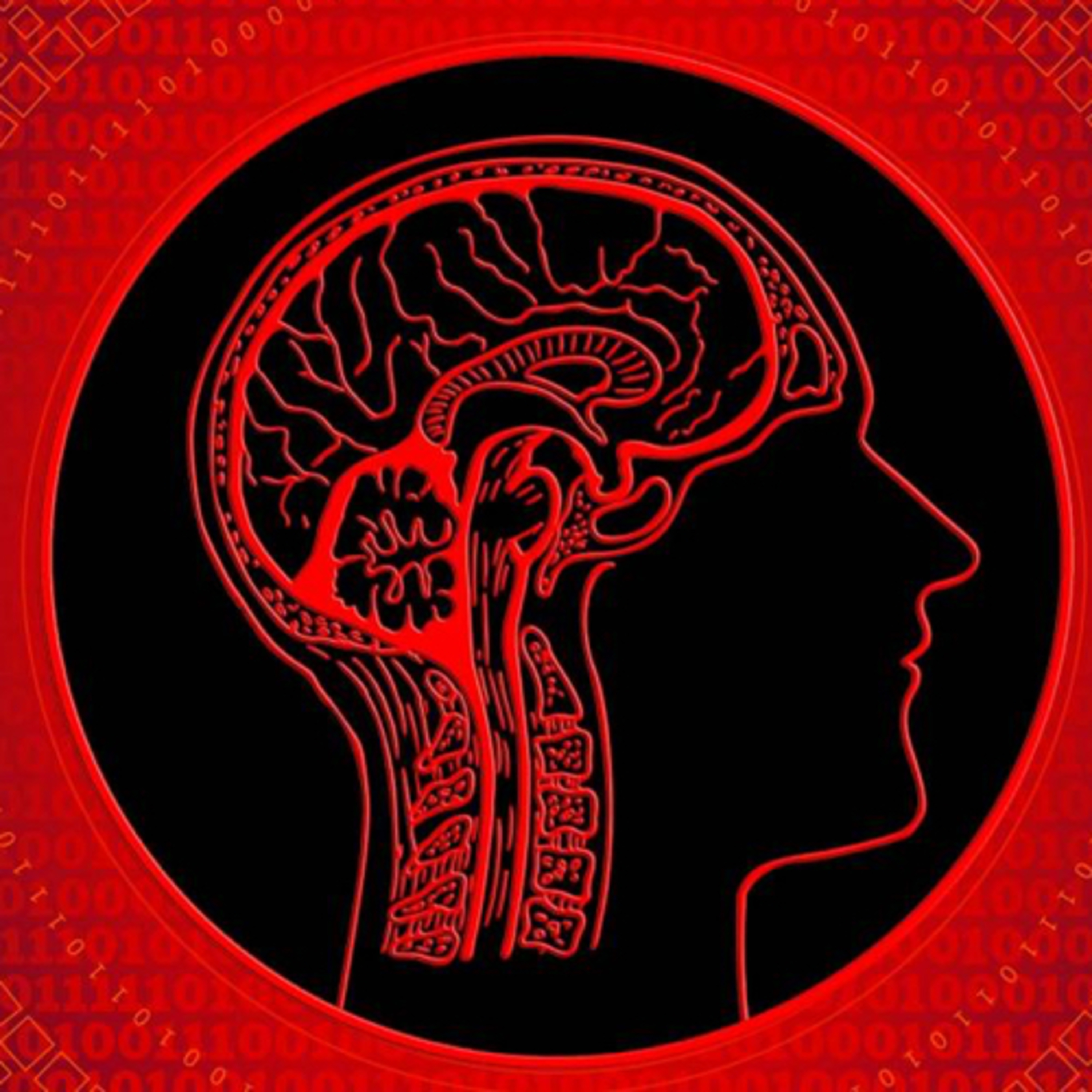 El miedo y la ansiedad en nuestro cerebro  episode artwork