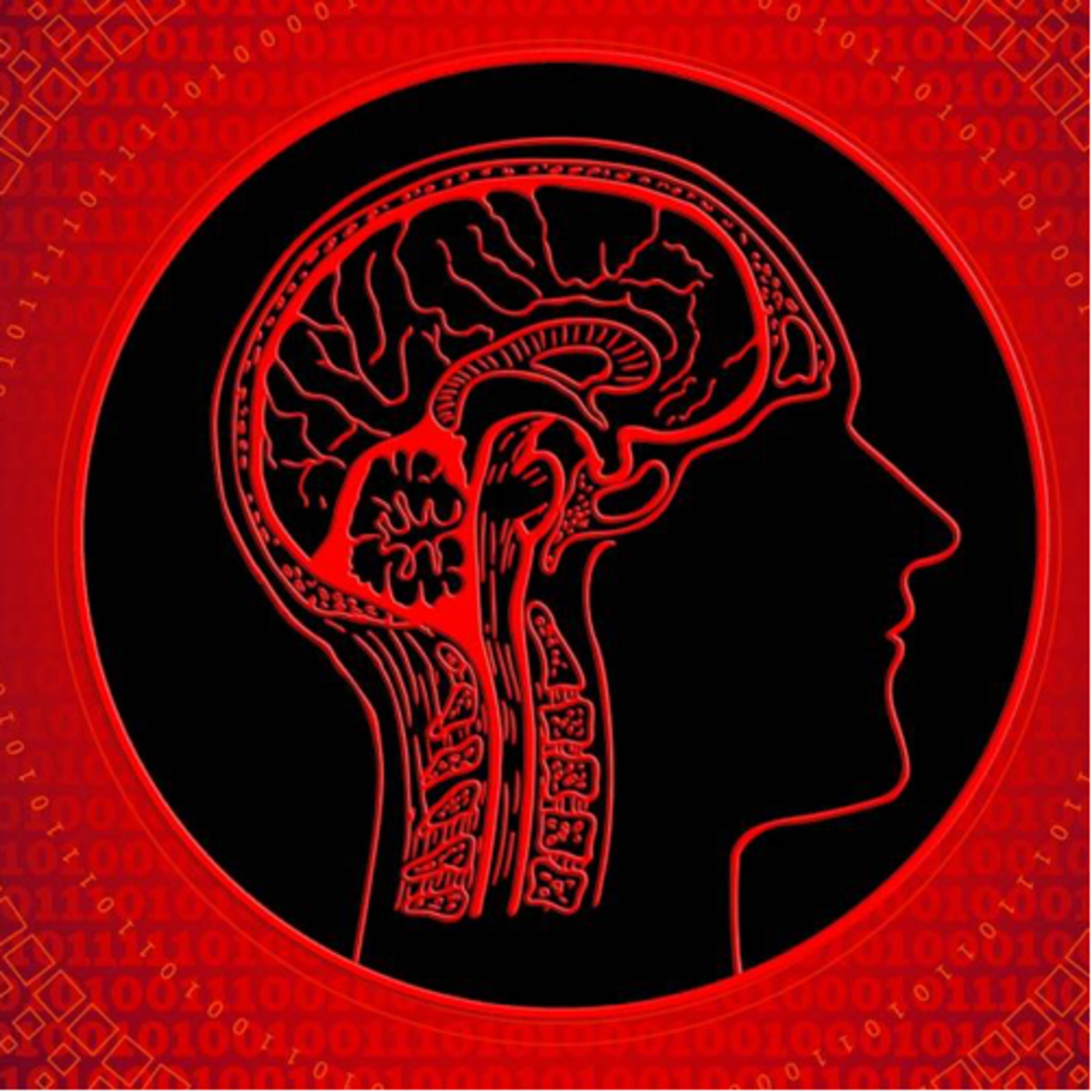 El impacto de la vida moderna en nuestro cerebro  episode artwork