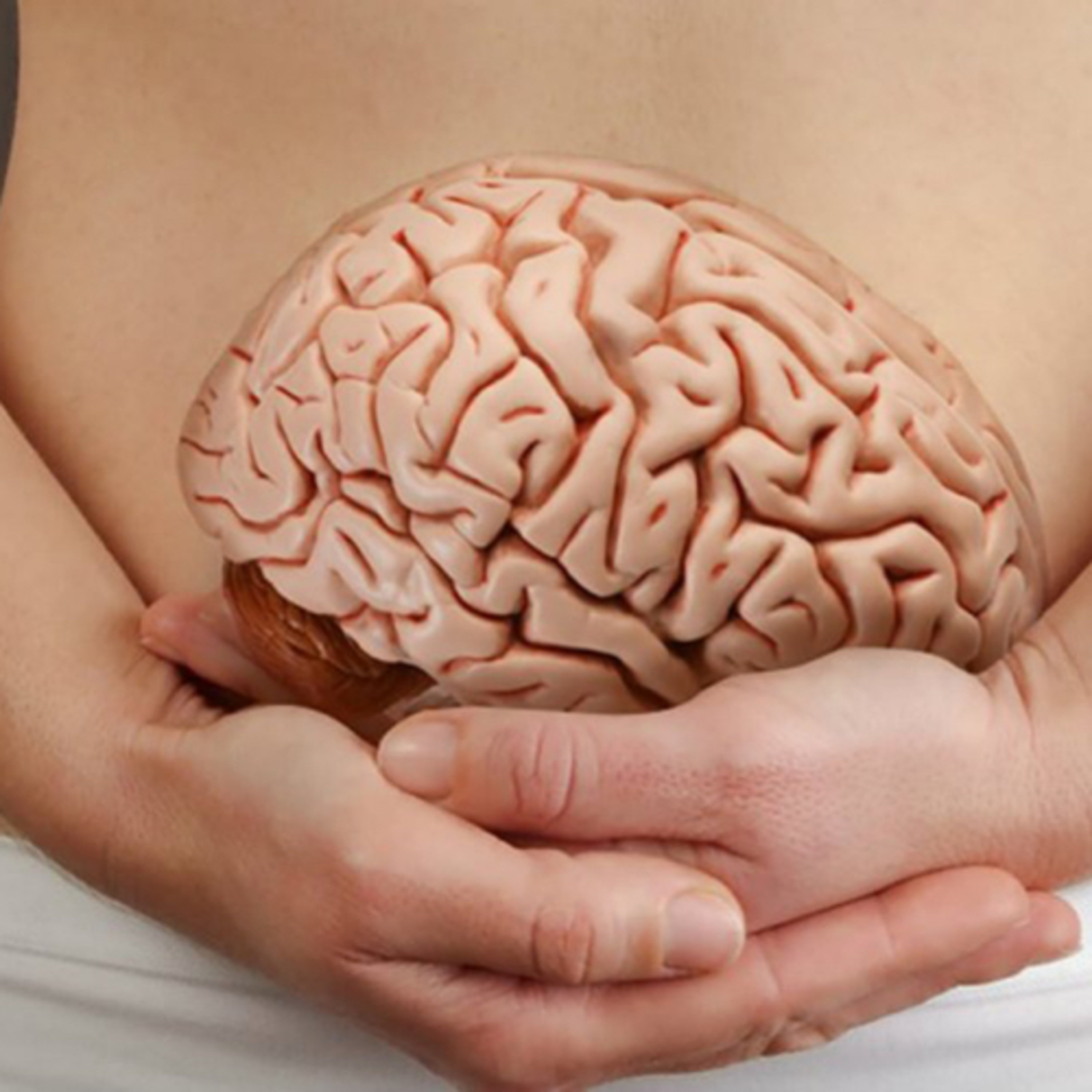 La relación intestino-cerebro  episode artwork