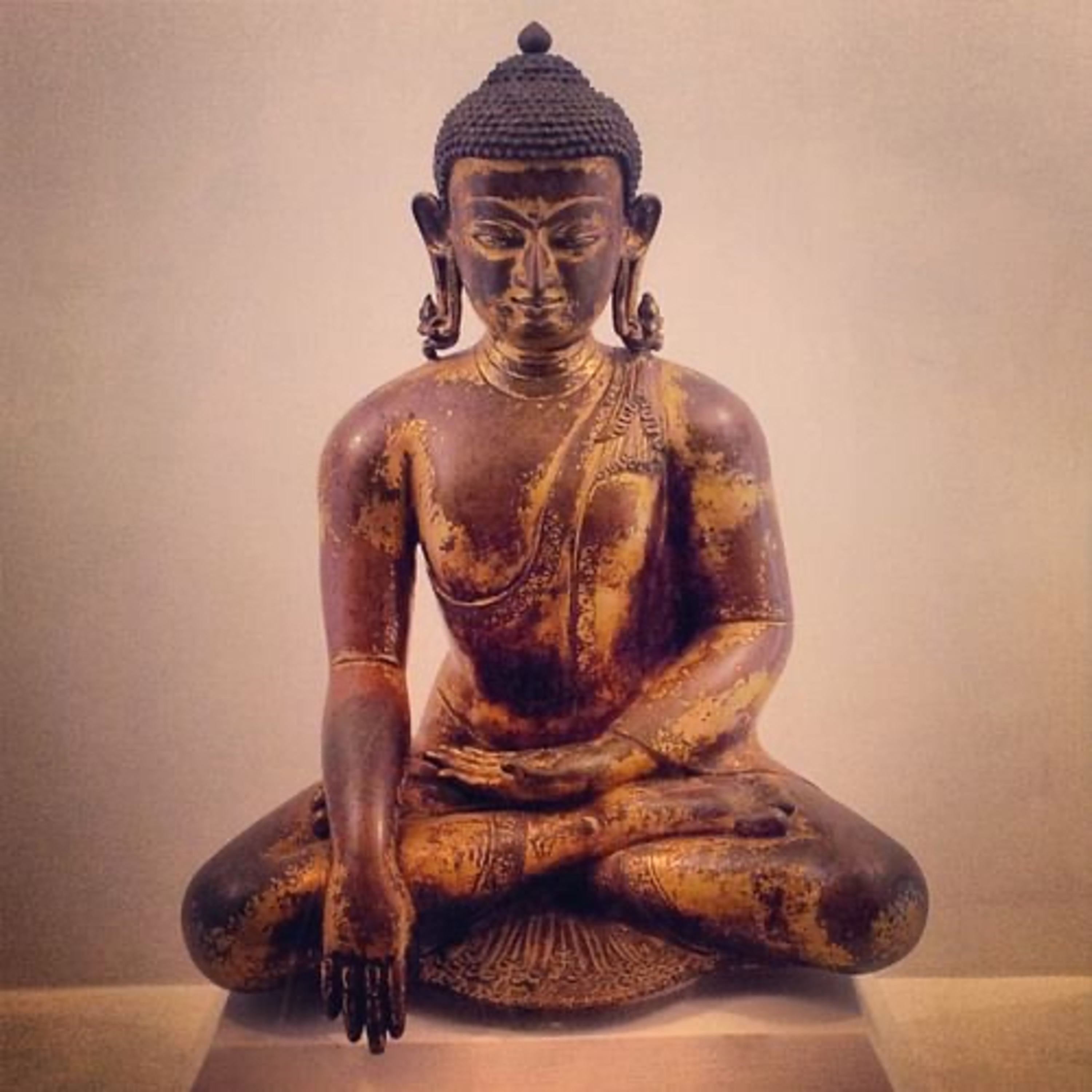 Siddhartha Gautama: la verdad está en el interior  episode artwork