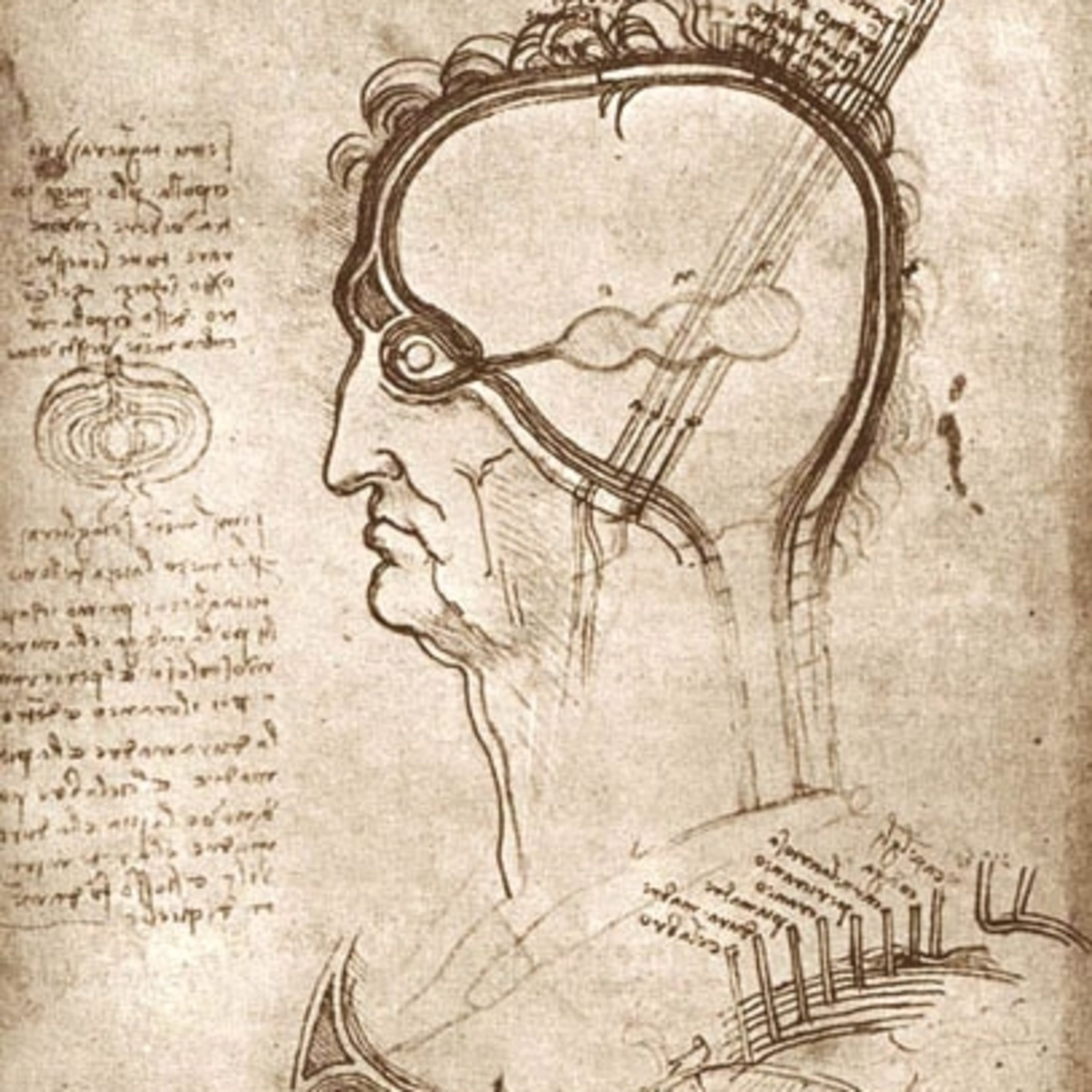 Leonardo Da Vinci y la neurociencia  episode artwork