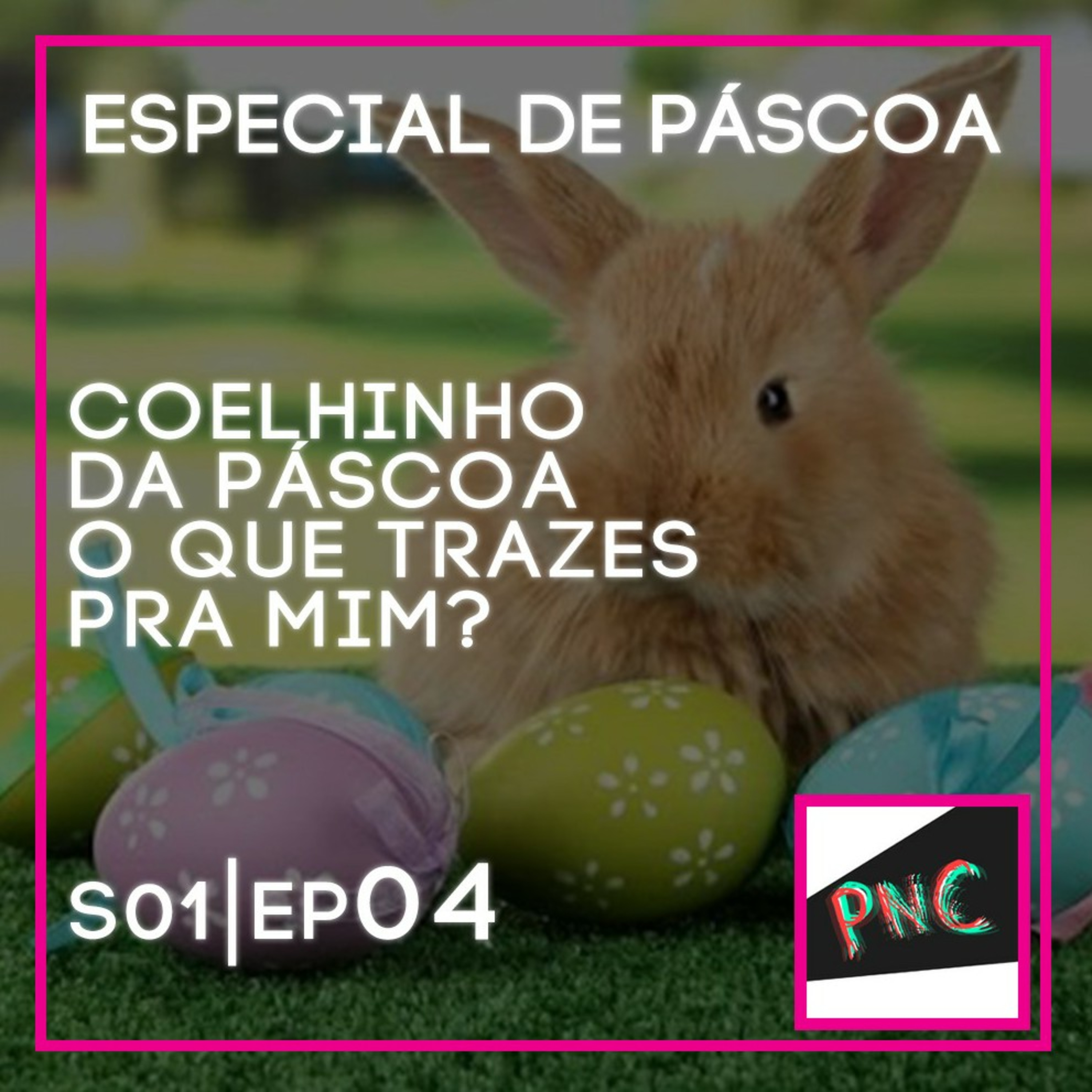 PNC - Prefiro Não Comentar