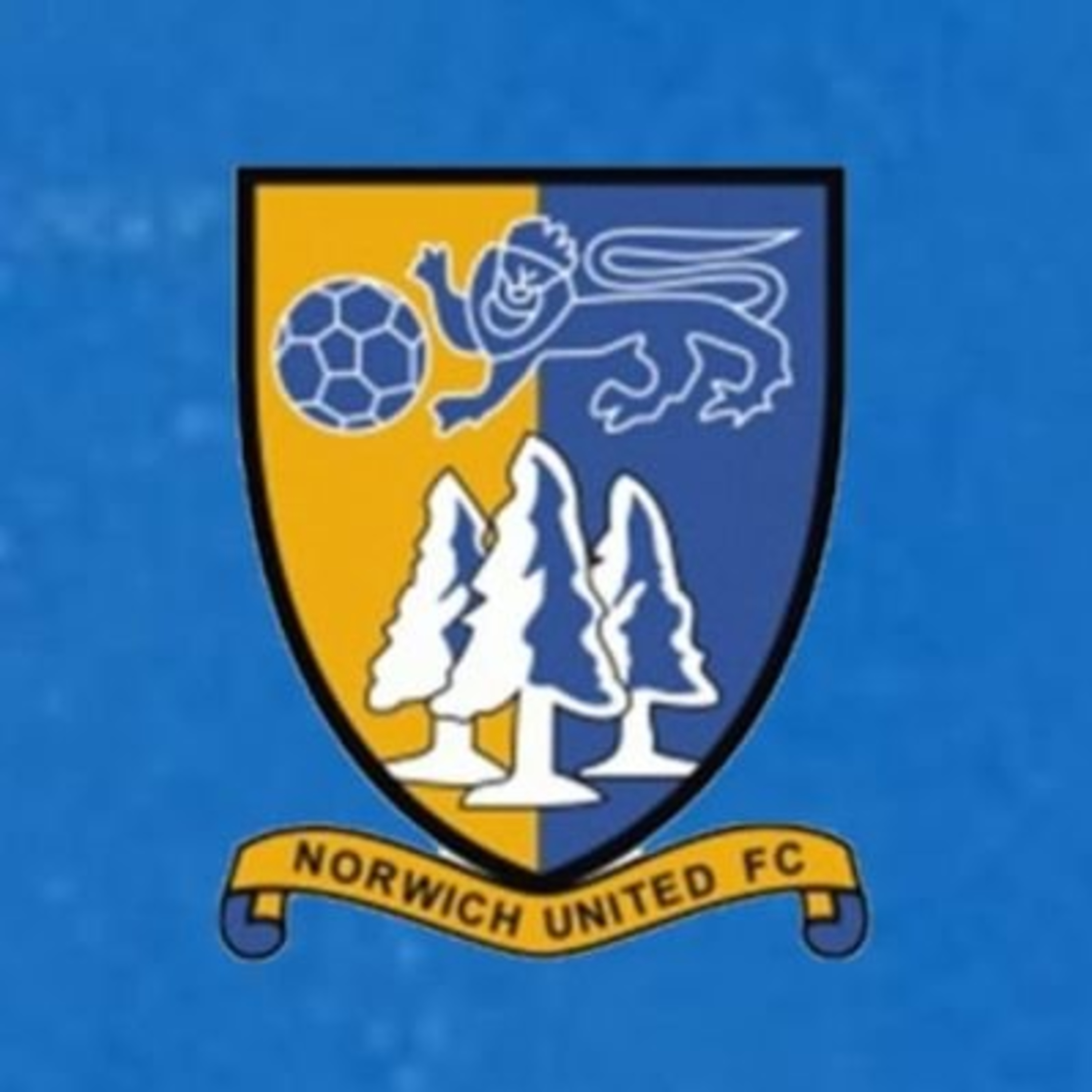 Norfolk And Suffolk Non League Football Podcast Show With Shaun Button