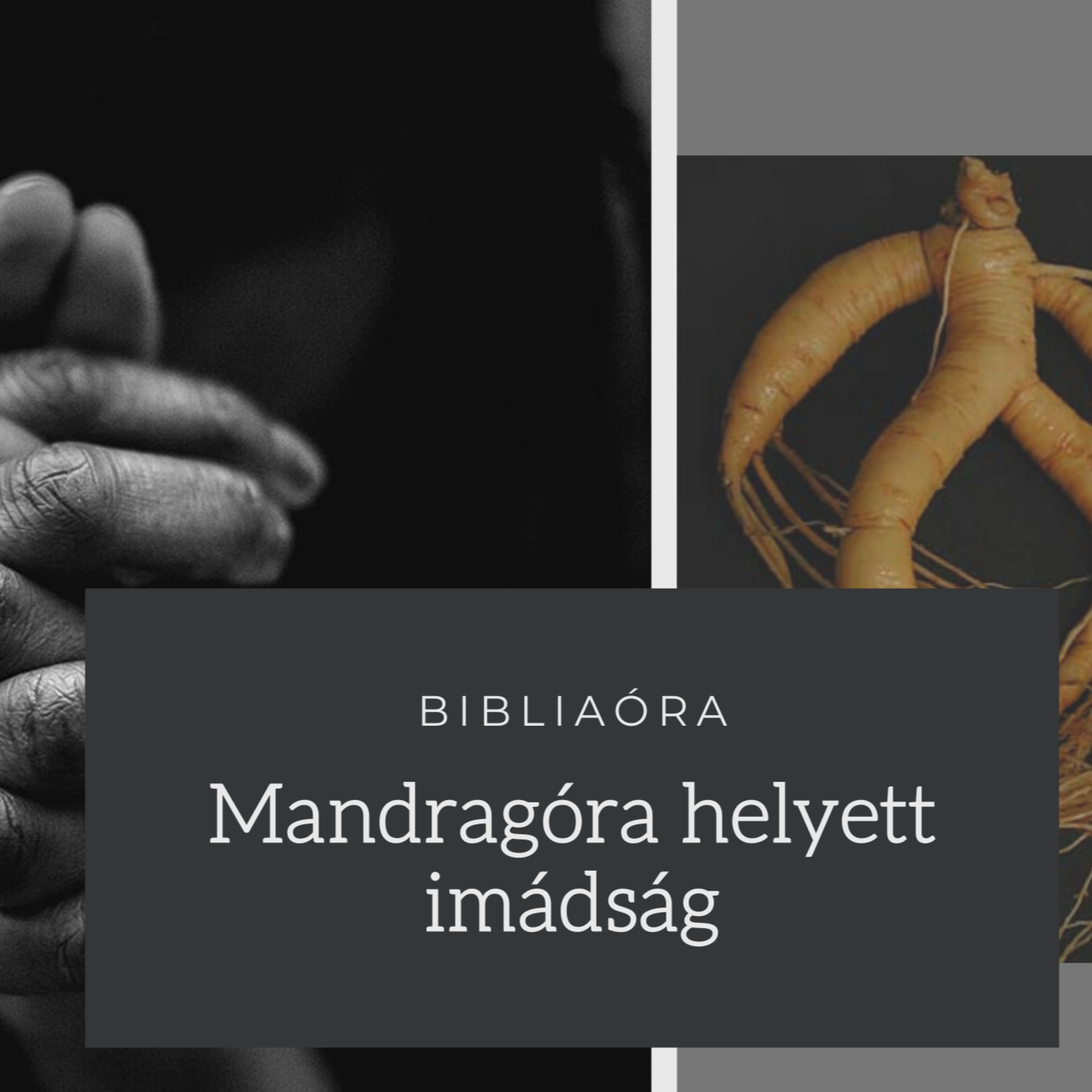 Gyulai Baptista Gyülekezet igehirdetések