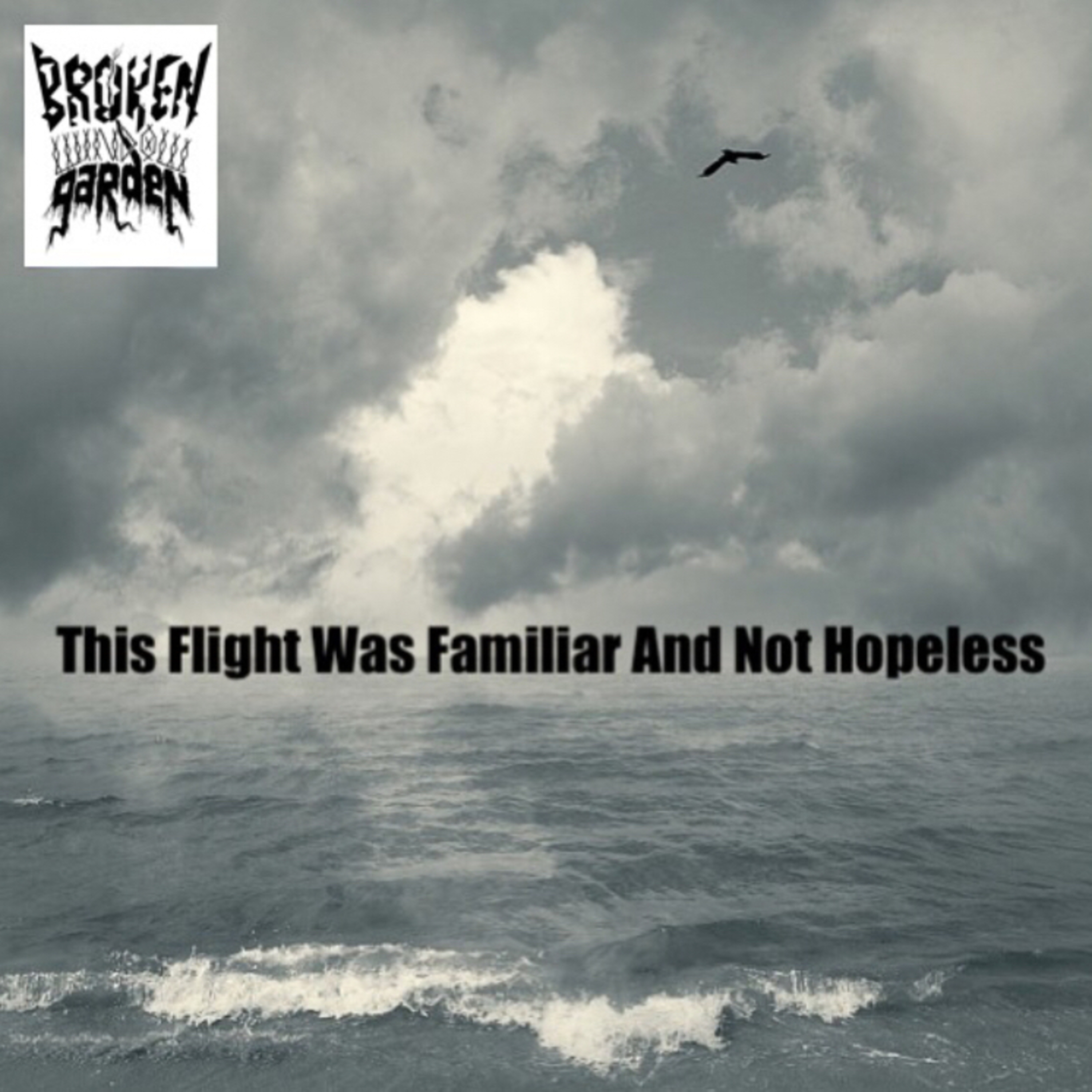 October 5, 2019 - "This Flight Was Familiar And Not Hopeless"